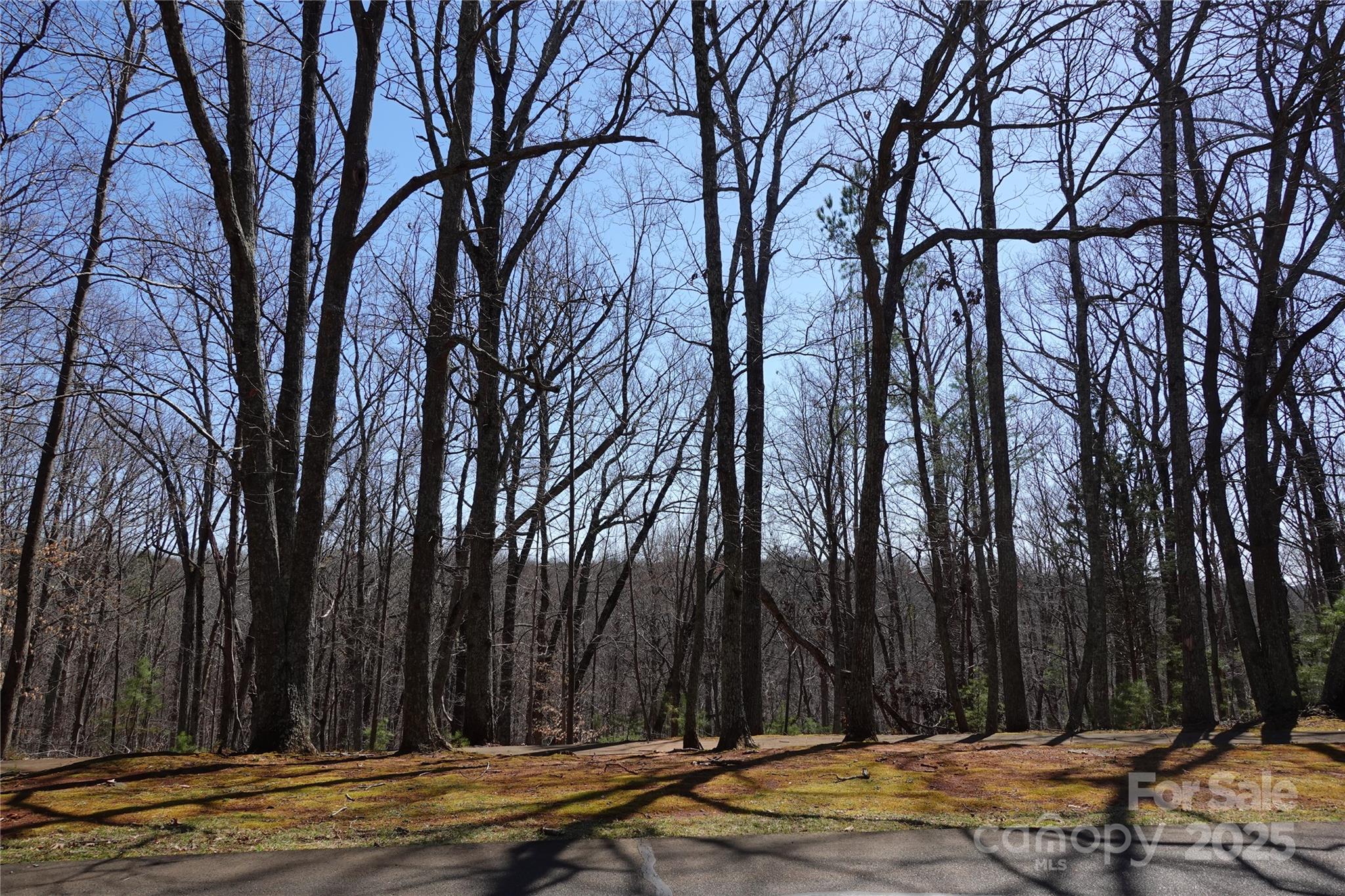 14427 Roe Buck Meadow Lane Property Photo 6
