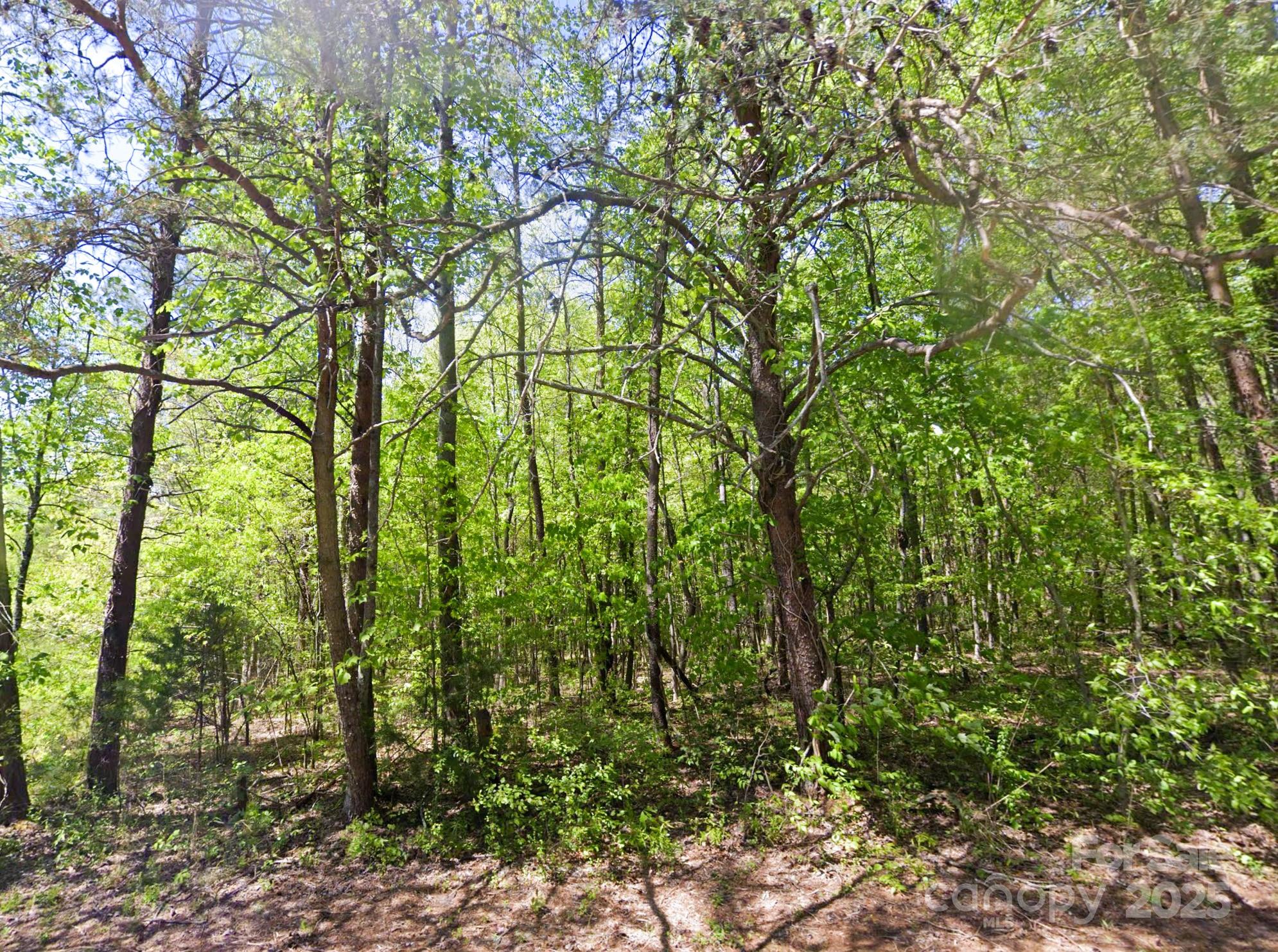 Lot 158 Rolling Road Property Photo