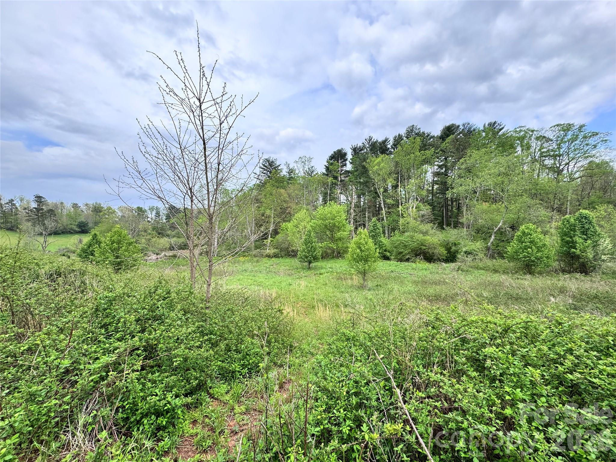 38 Flourish Farm Lane Property Photo 2