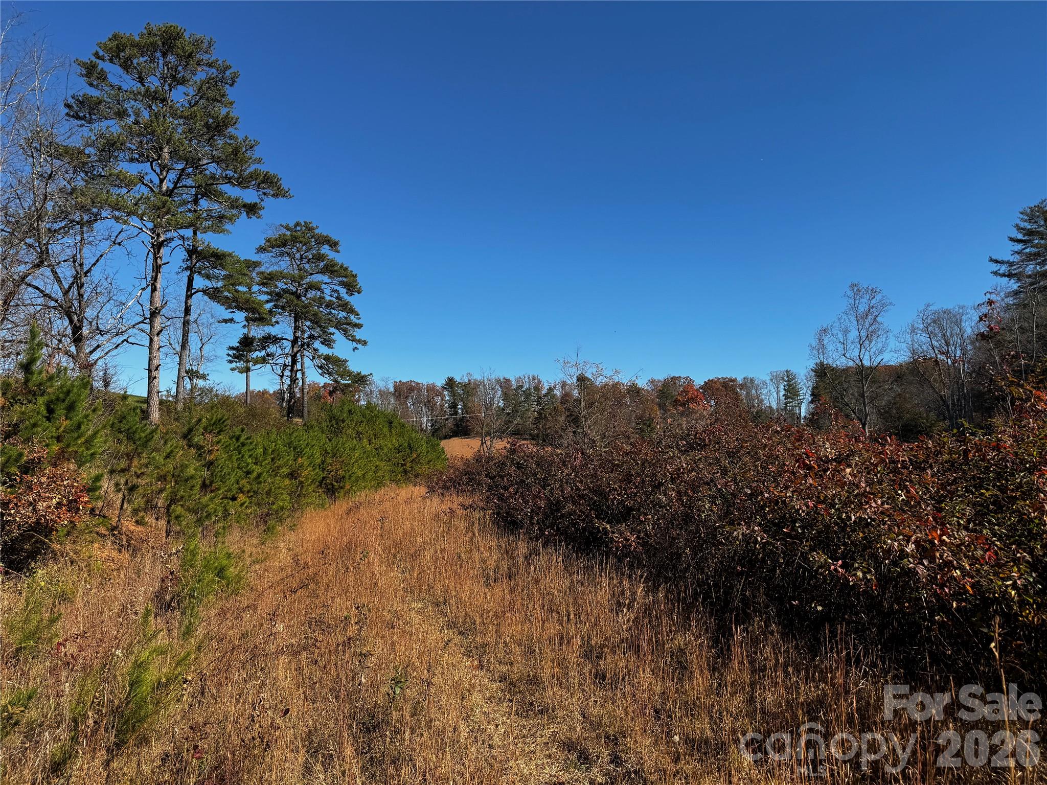 38 Flourish Farm Lane Property Photo 7