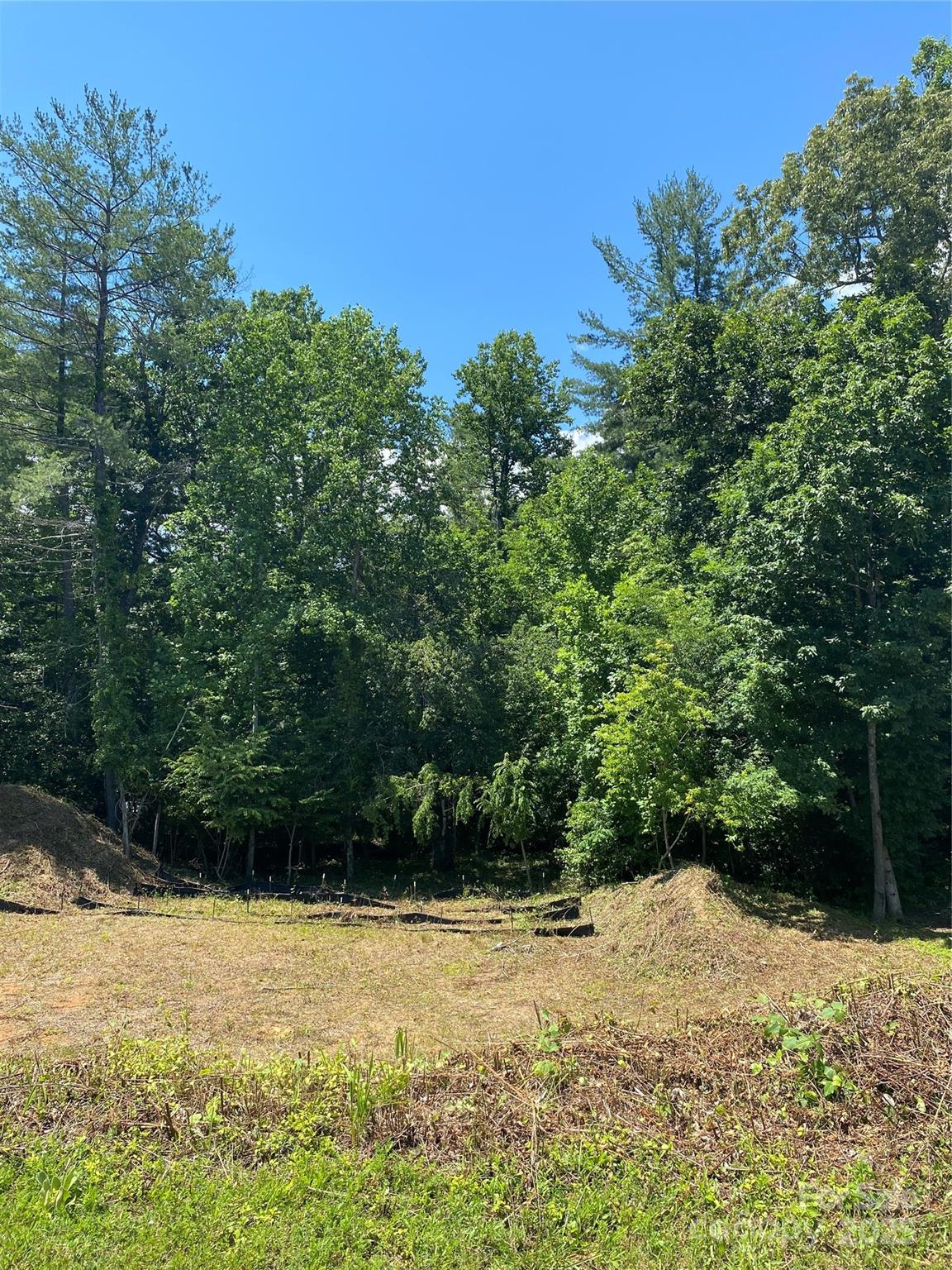 166 Williams Meadow Loop Property Photo 2