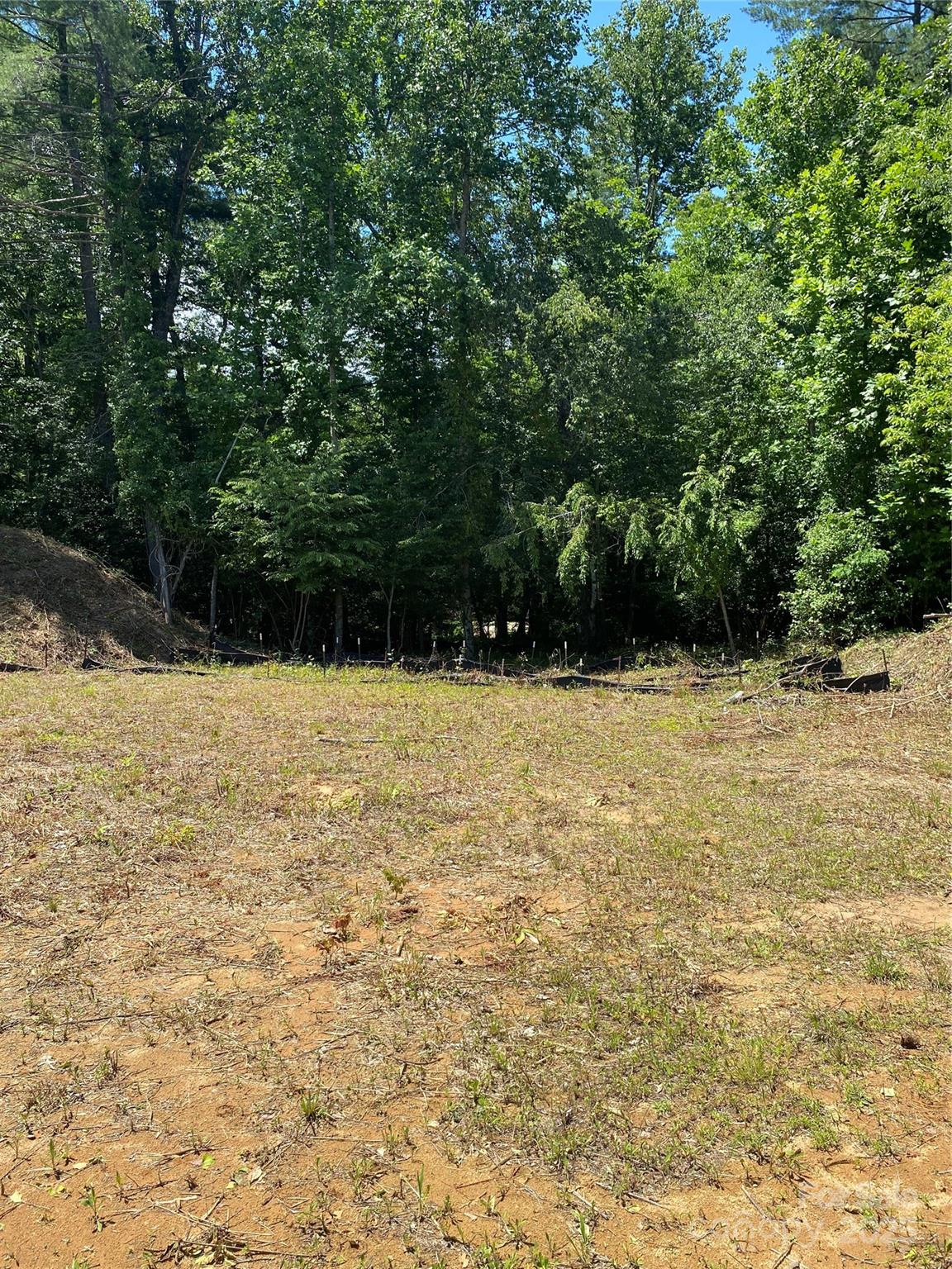 166 Williams Meadow Loop Property Photo 5