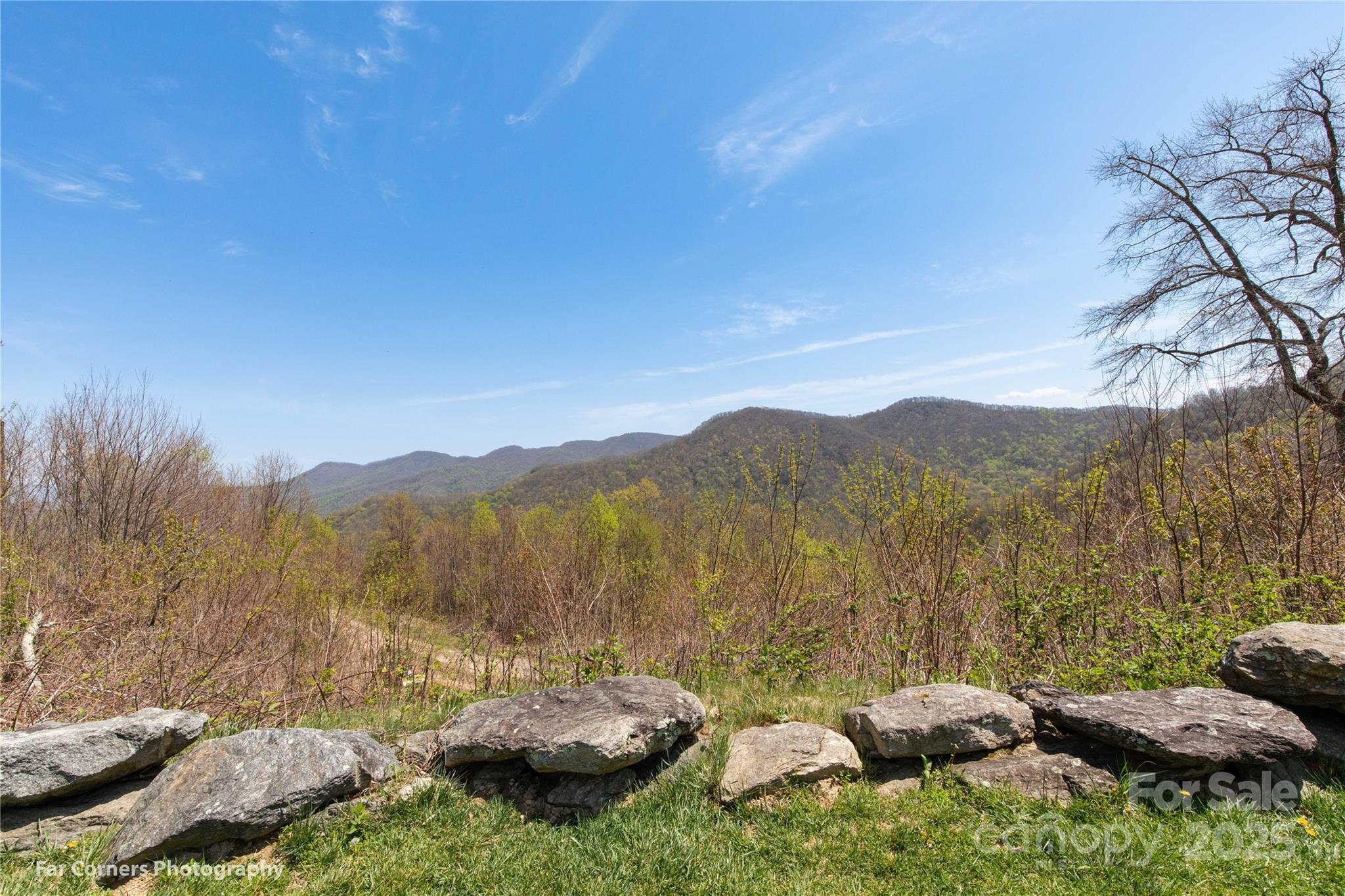 20 Lila Lane B Property Photo 31