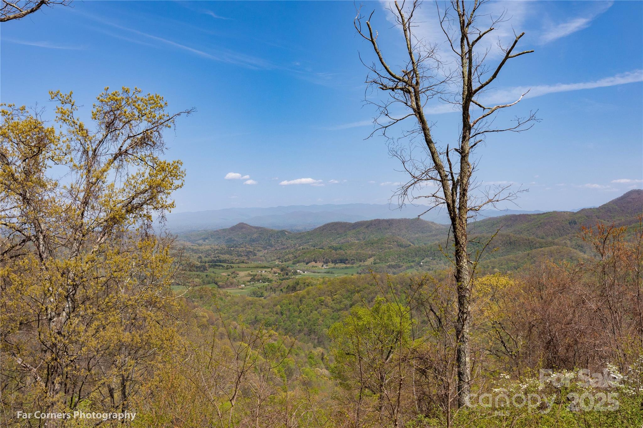 20 Lila Lane B Property Photo 33