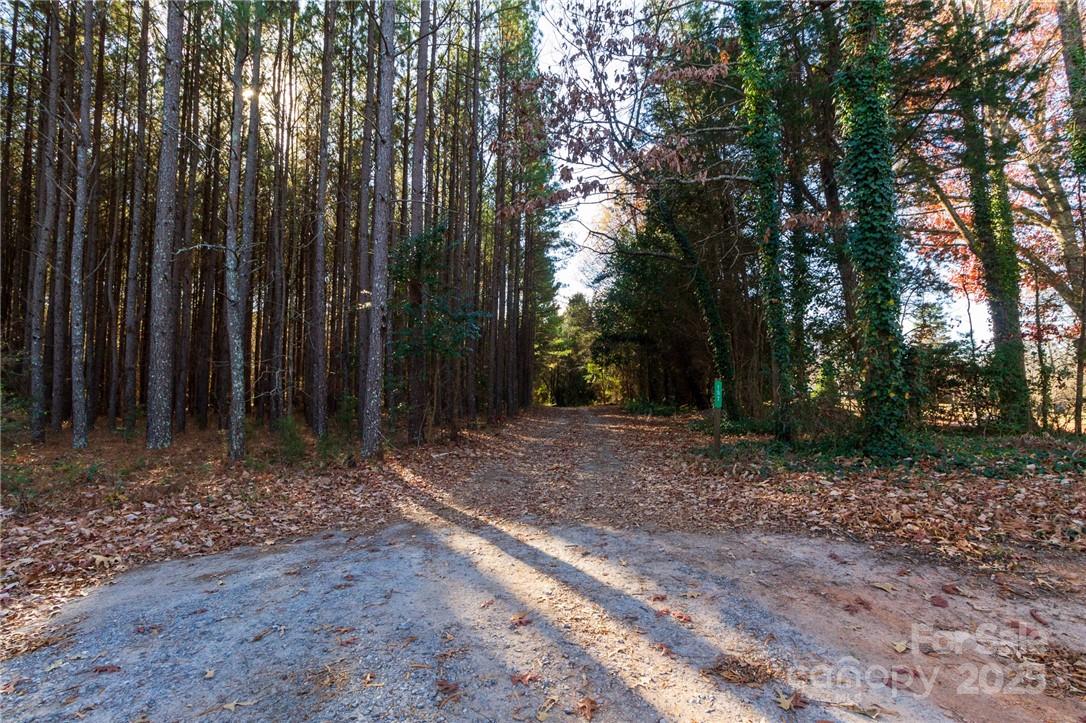 155 Patterson Road Property Photo 4