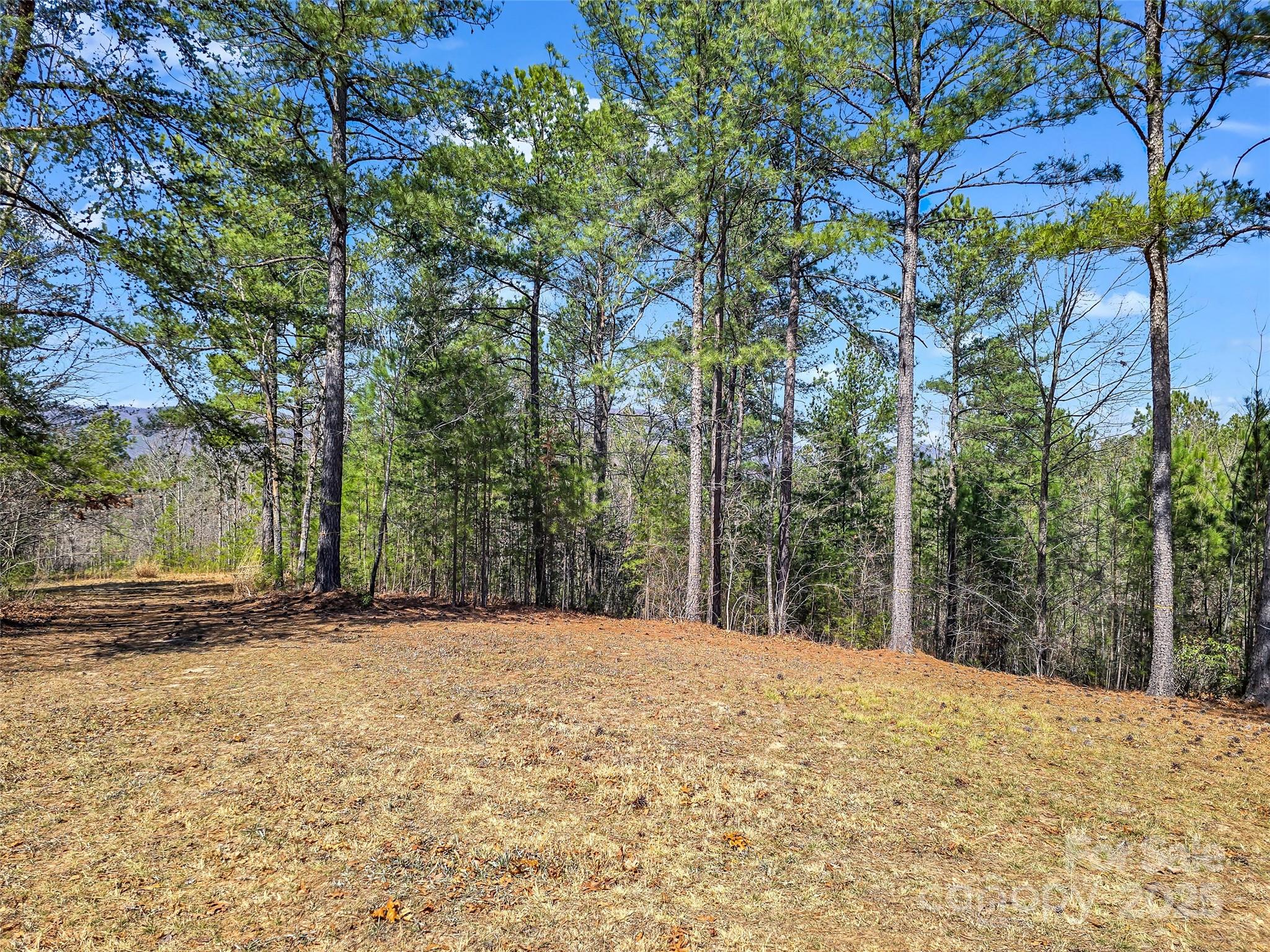 28 River Park Lane Property Photo 6