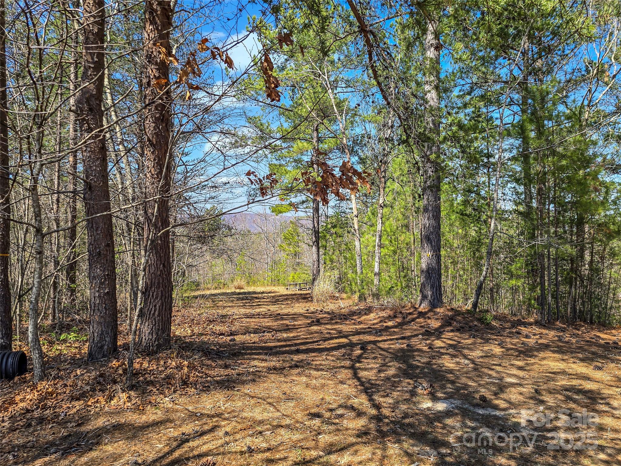 28 River Park Lane Property Photo 7