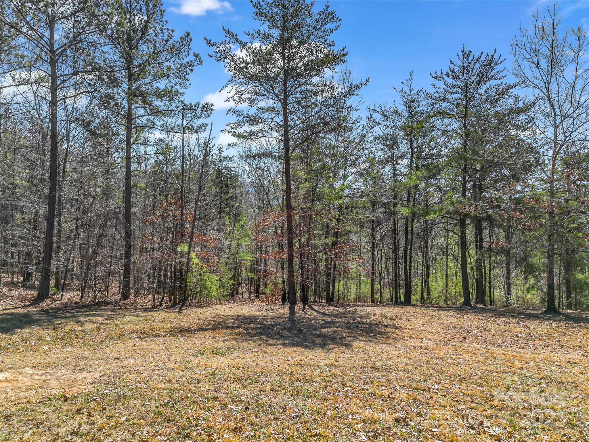 28 River Park Lane Property Photo 9