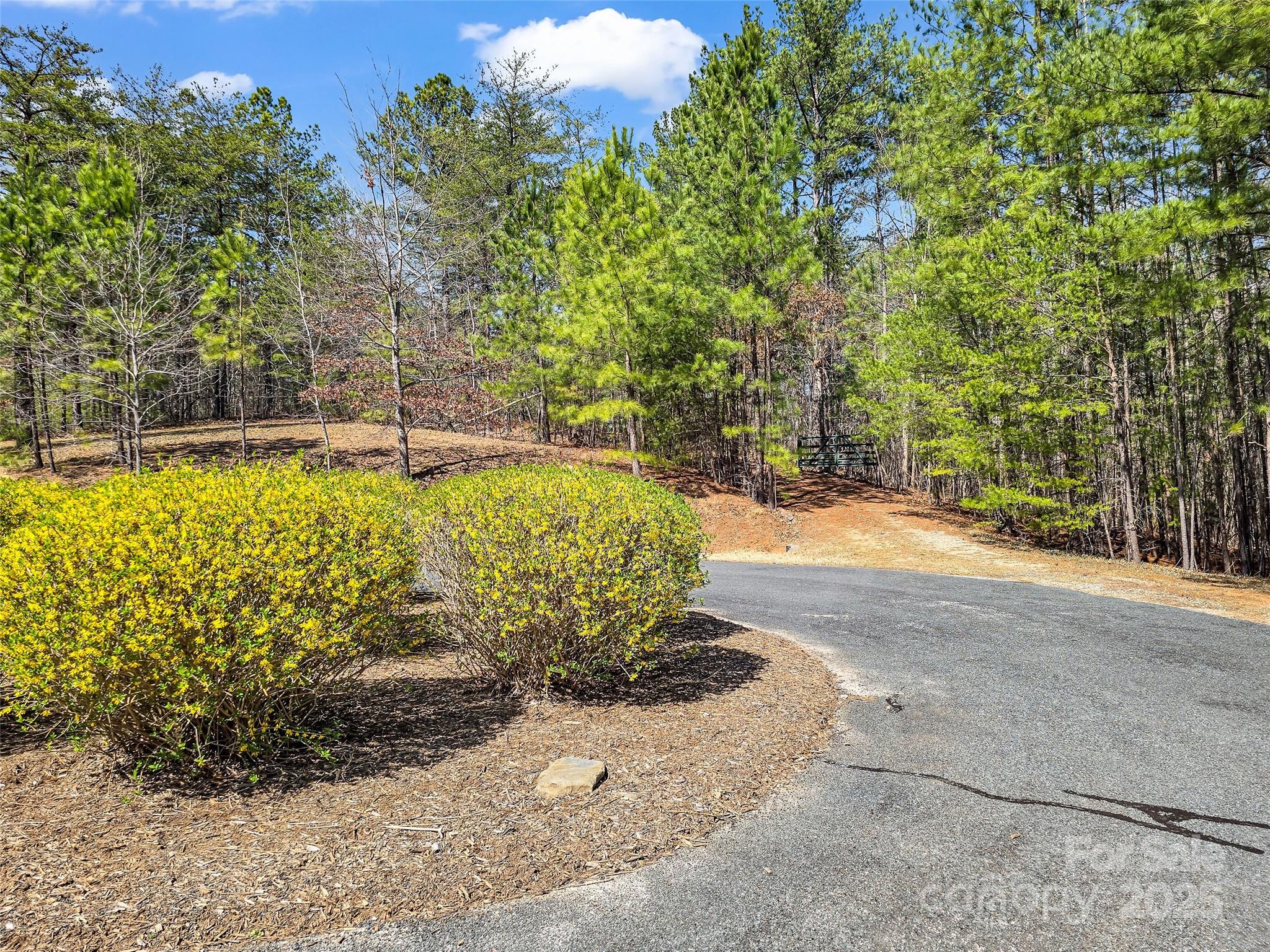 28 River Park Lane Property Photo 31