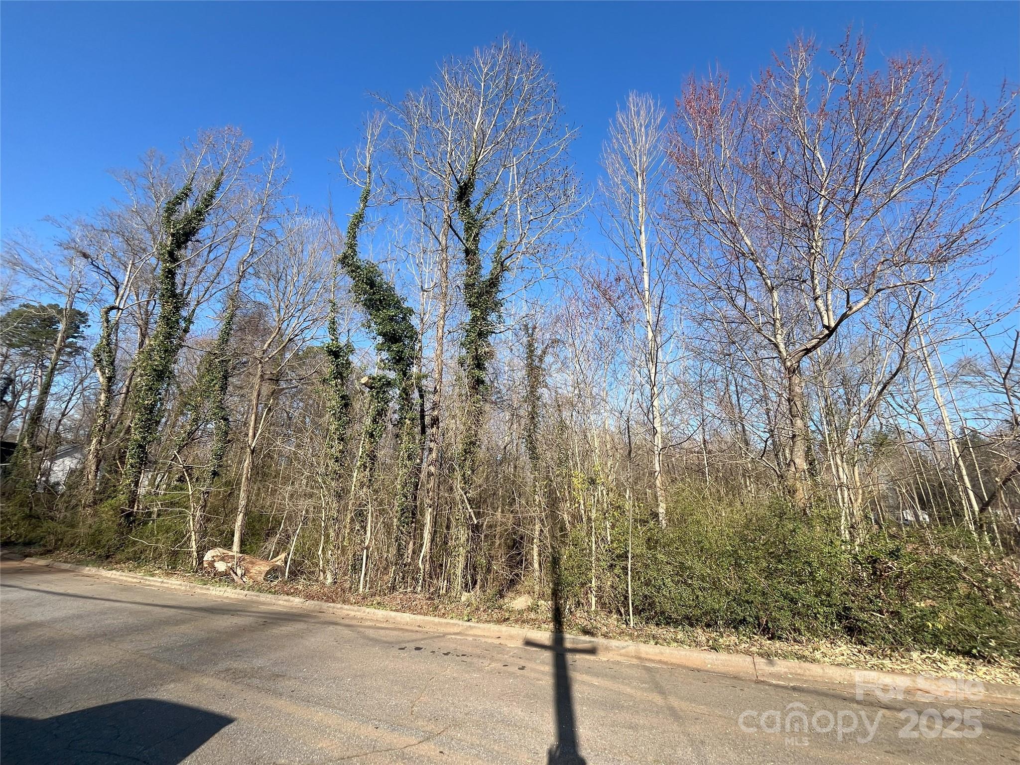 0 Tanglewood Drive 6 Property Photo