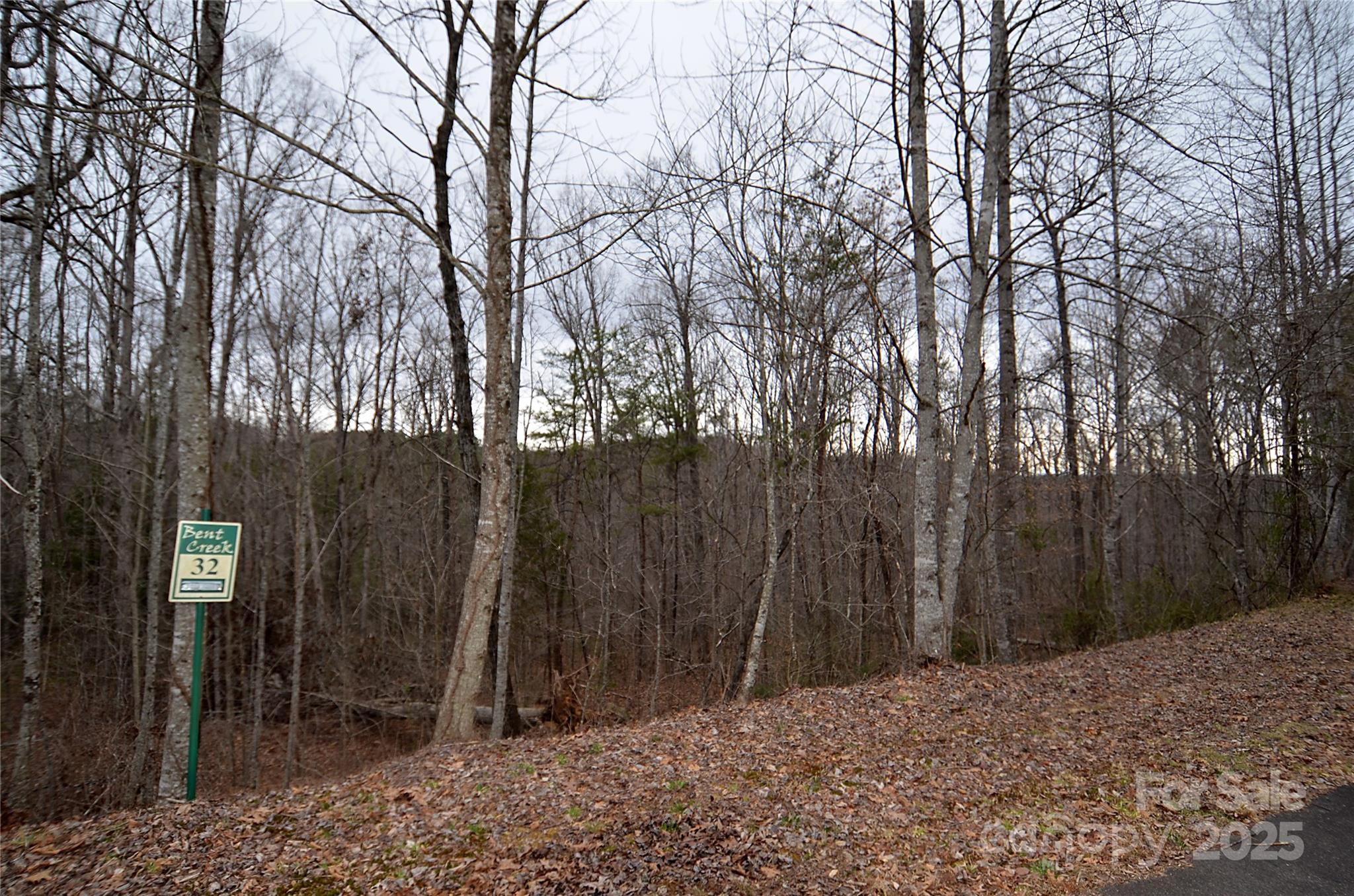 V/l #32 Bent Creek Drive 32 Property Photo 2