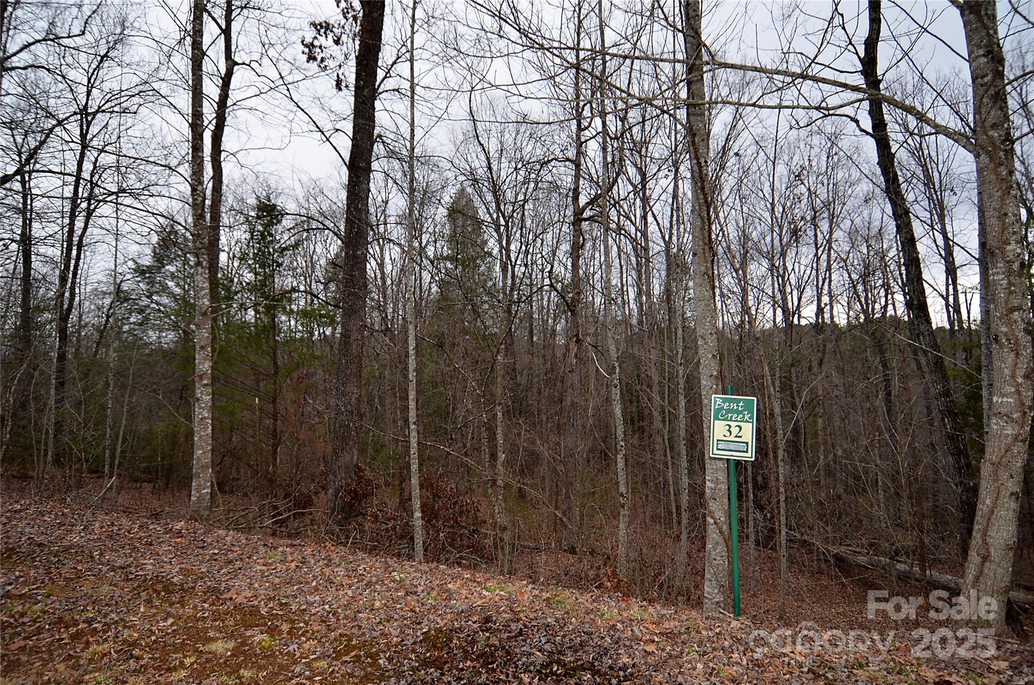 V/l #32 Bent Creek Drive 32 Property Photo 3