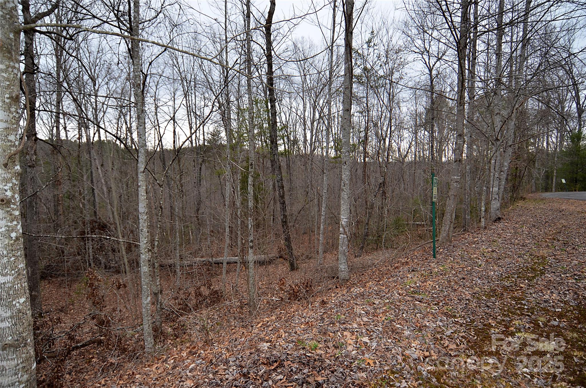 V/l #32 Bent Creek Drive 32 Property Photo 4