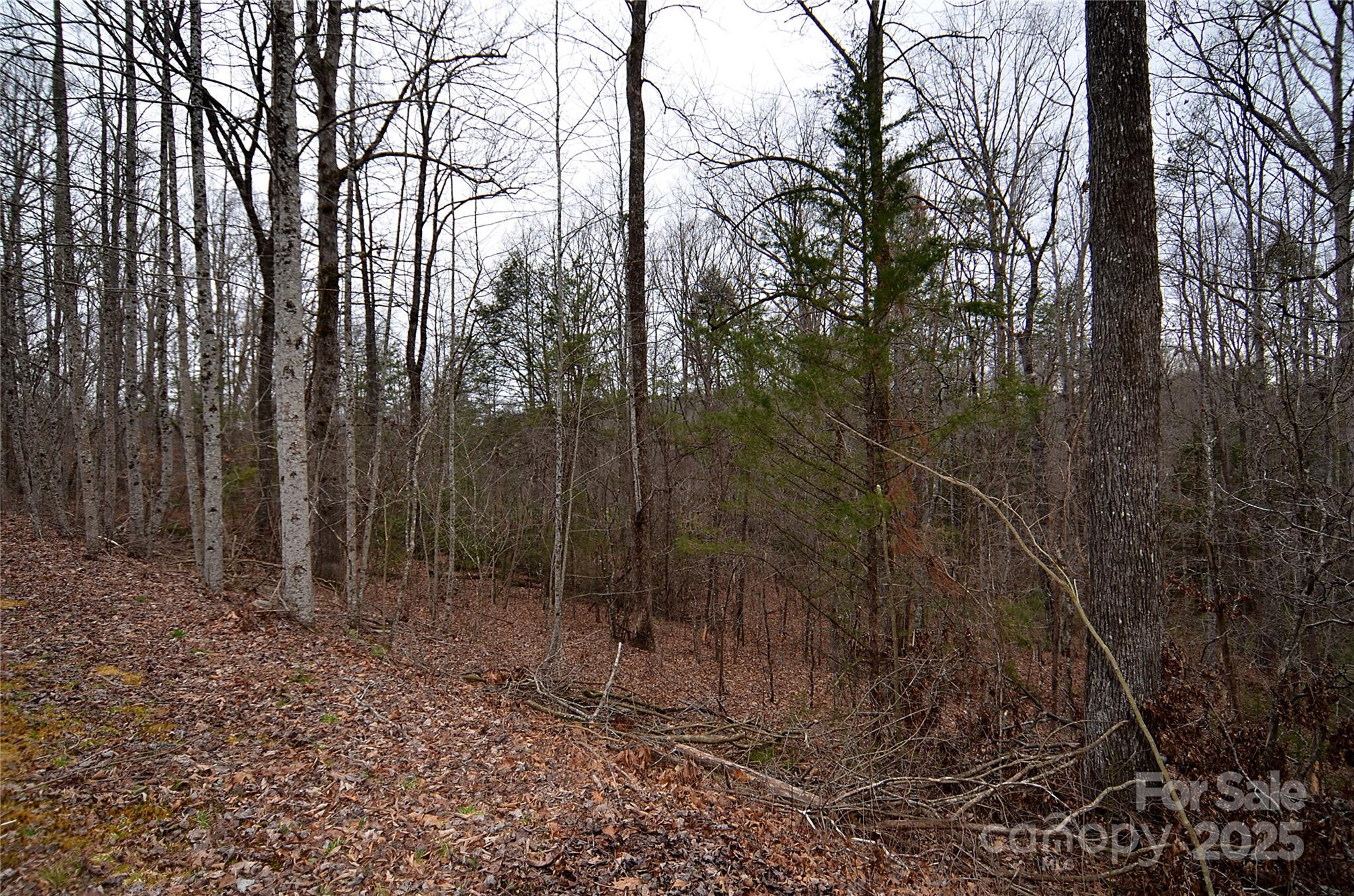 V/l #32 Bent Creek Drive 32 Property Photo 5