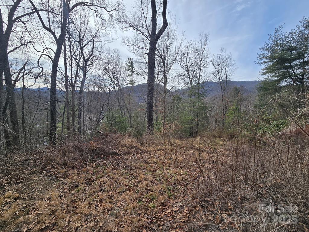 425 Crocus Lane Property Photo