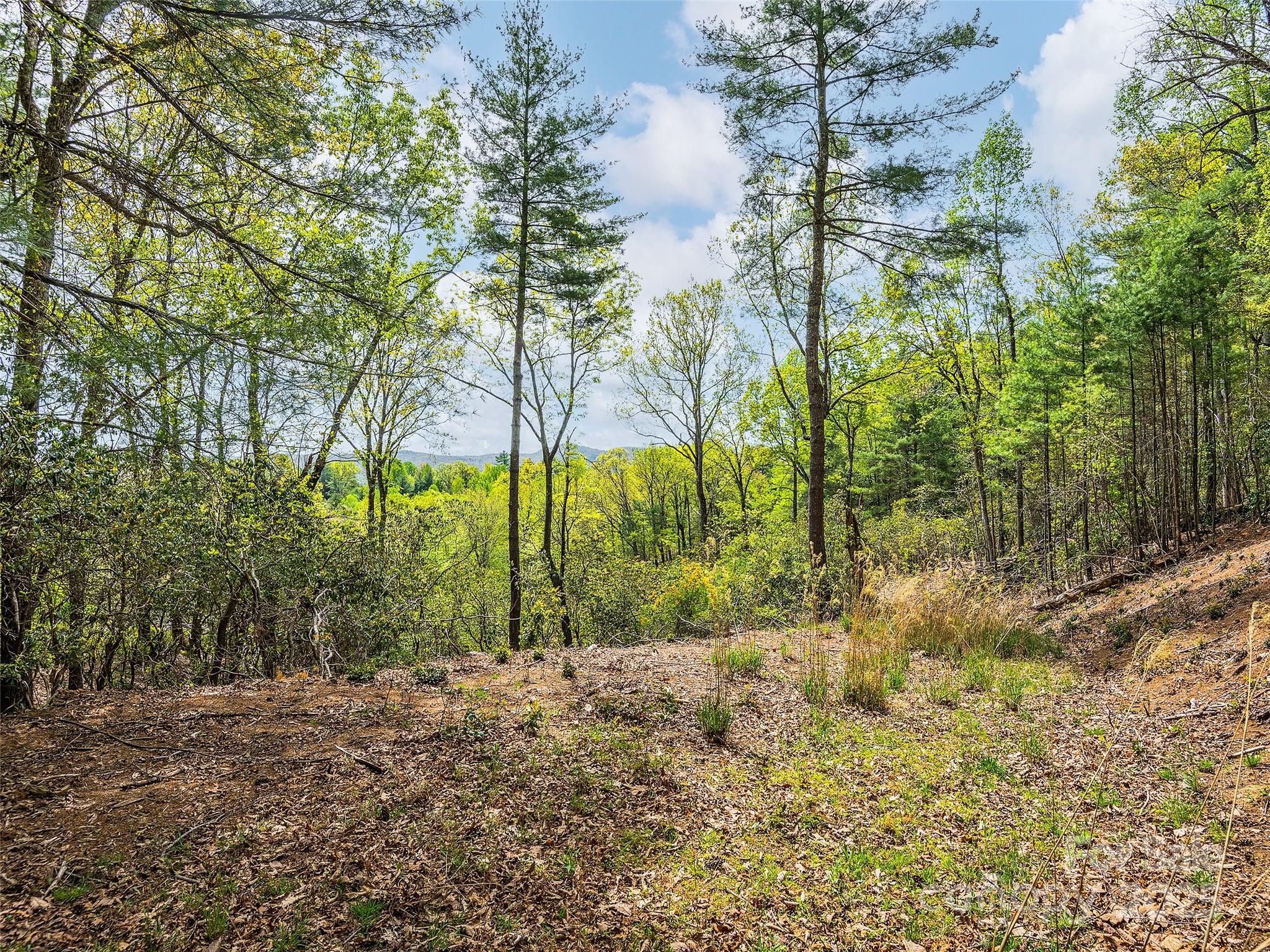 Lot #56 Winterberry Drive Property Photo