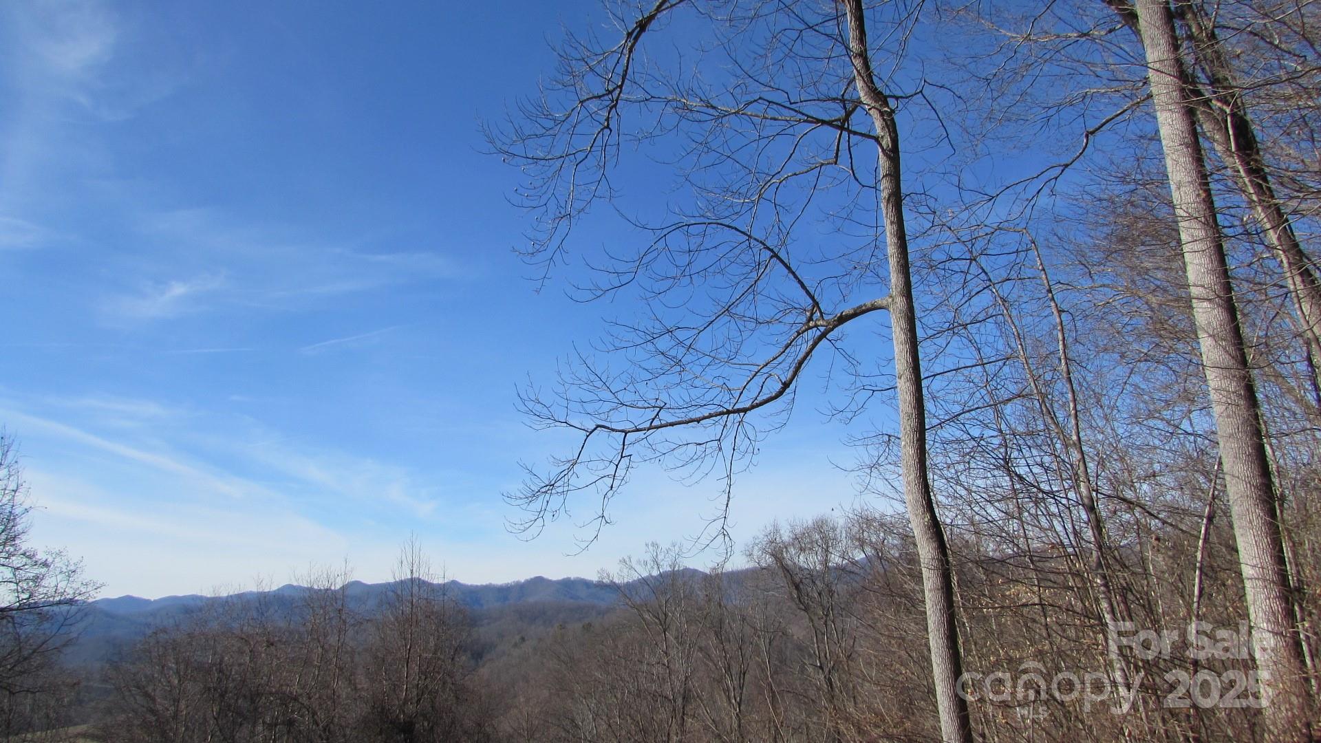 E- 7 Red Wolf Run Property Photo 7