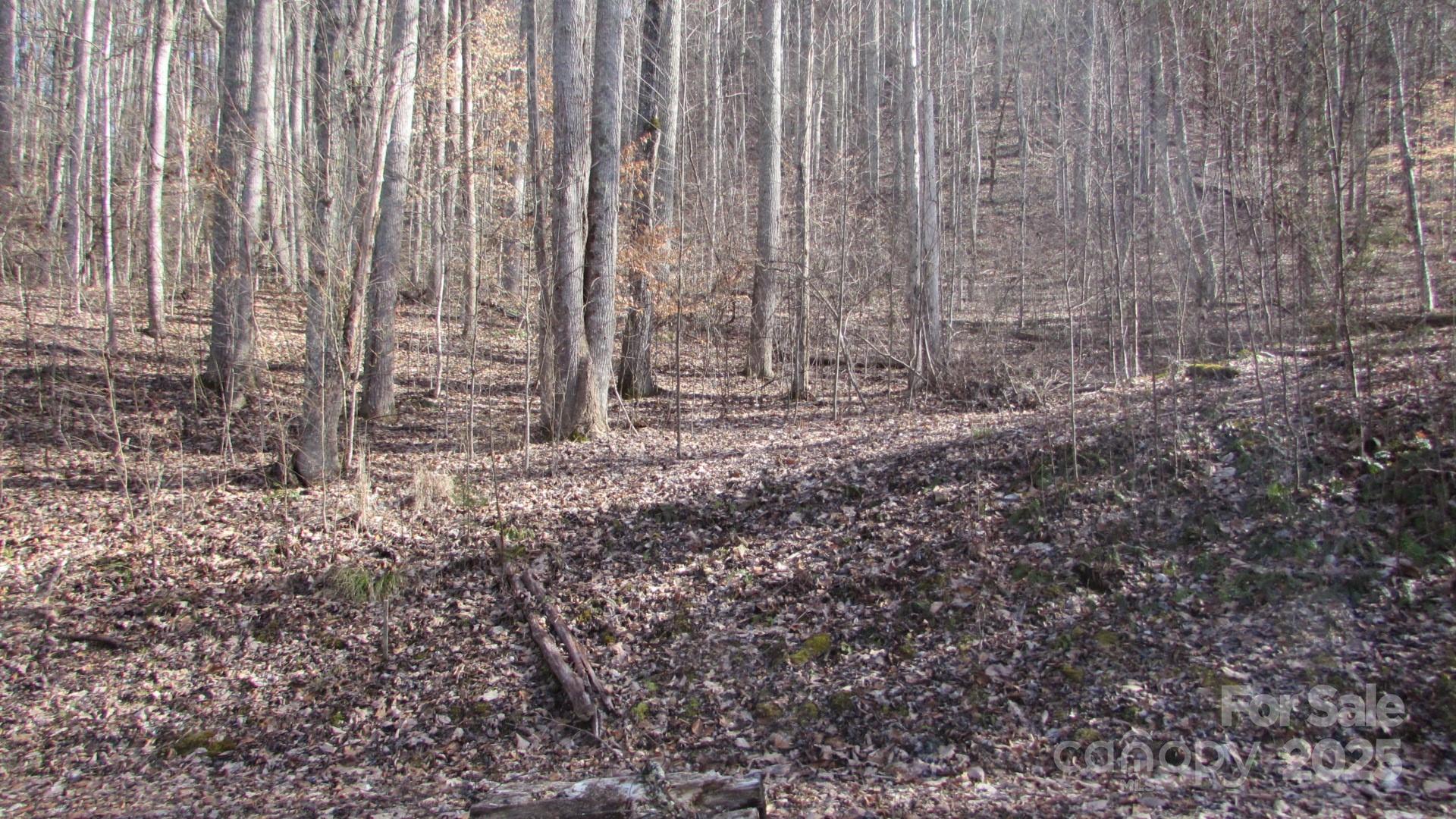 E- 7 Red Wolf Run Property Photo 10
