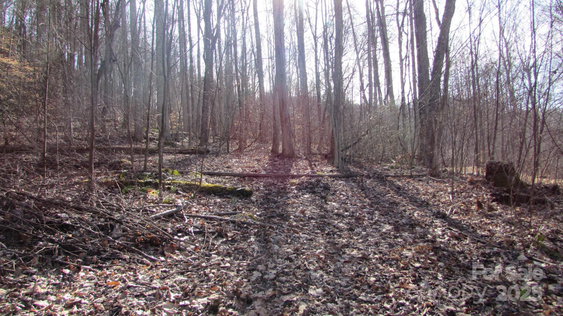 E- 7 Red Wolf Run Property Photo 11