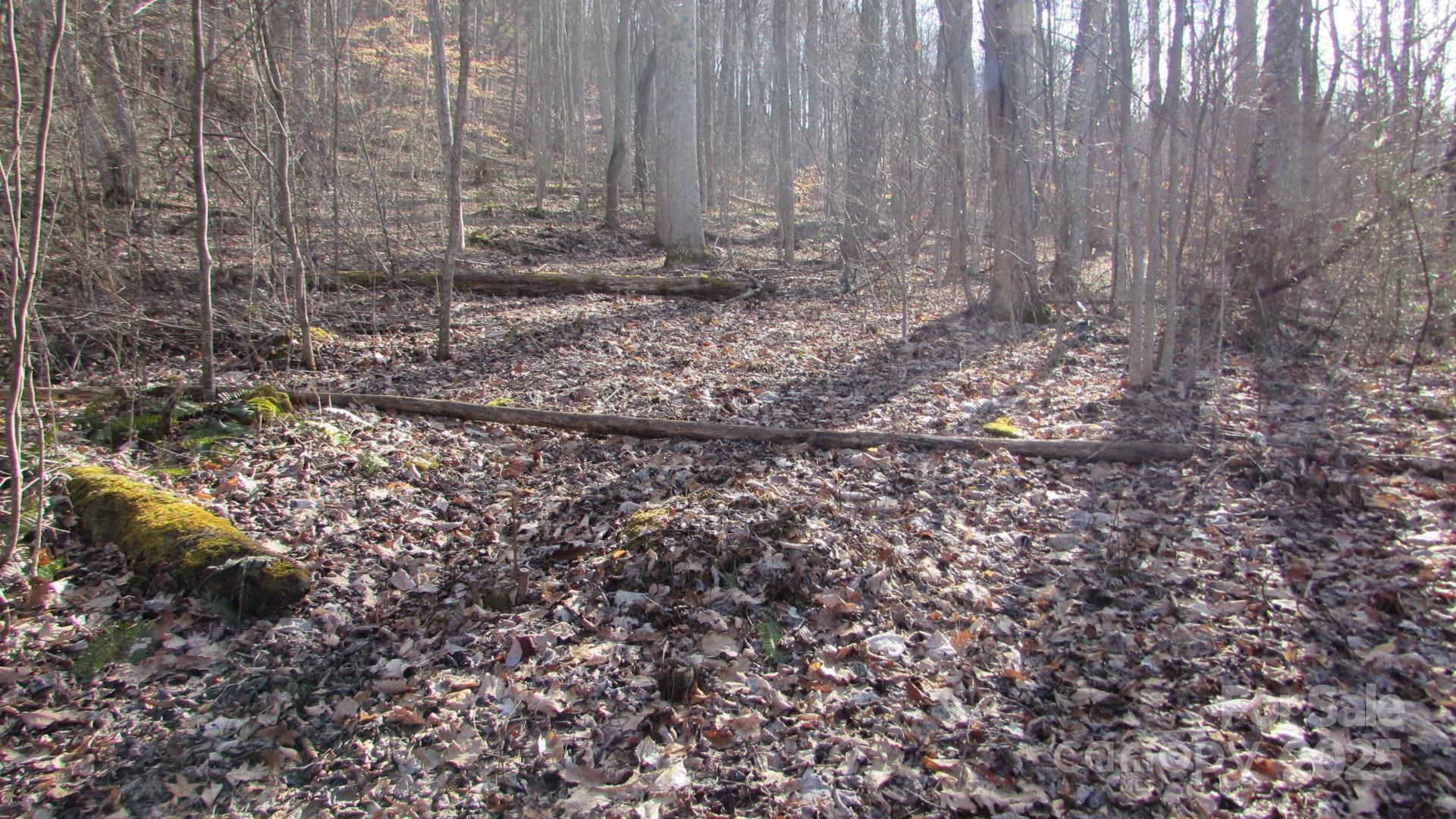 E- 7 Red Wolf Run Property Photo 12