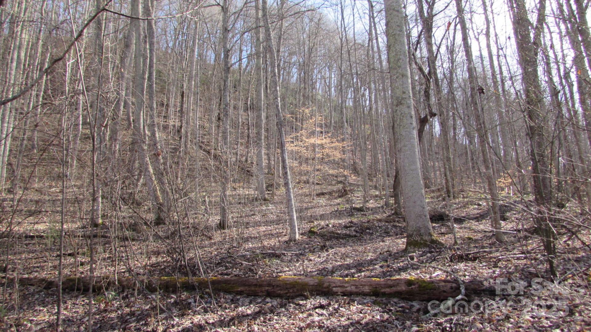 E- 7 Red Wolf Run Property Photo 13