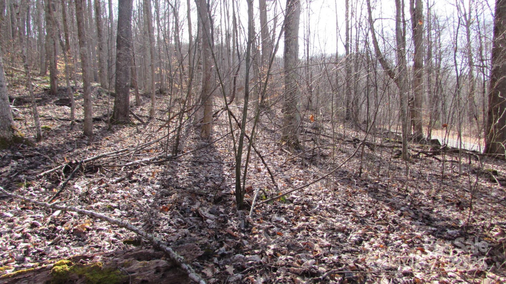 E- 7 Red Wolf Run Property Photo 14