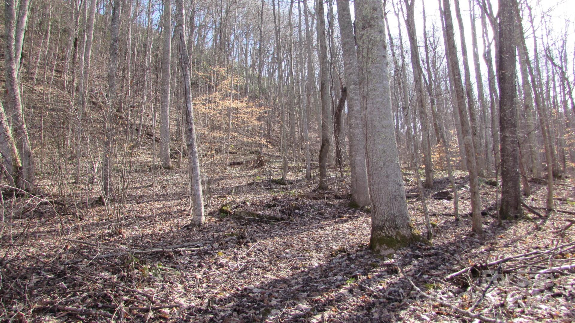 E- 7 Red Wolf Run Property Photo 15
