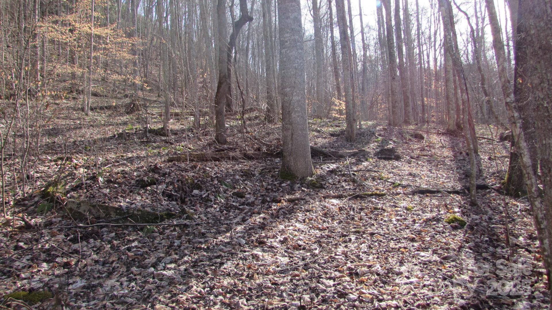 E- 7 Red Wolf Run Property Photo 16