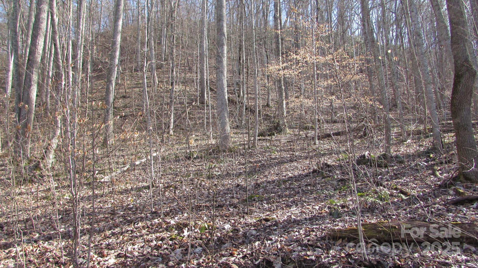E- 7 Red Wolf Run Property Photo 17