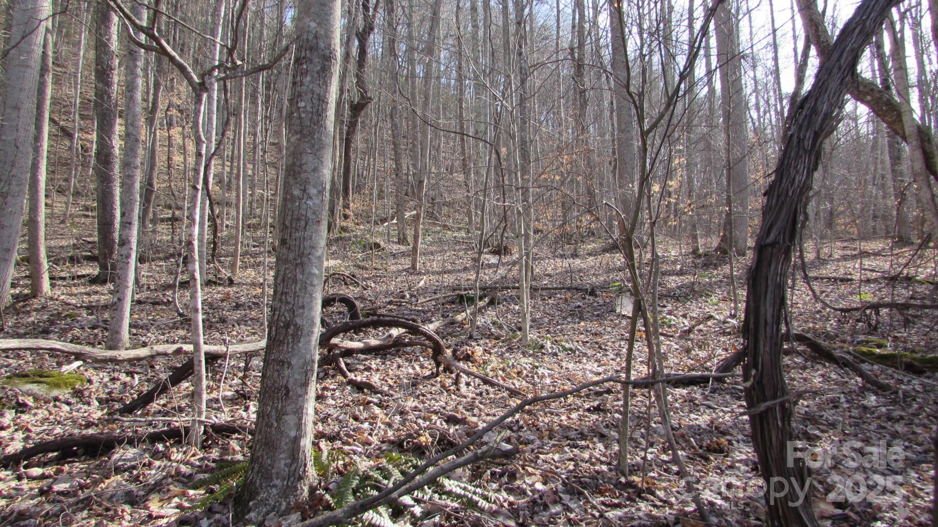 E- 7 Red Wolf Run Property Photo 18
