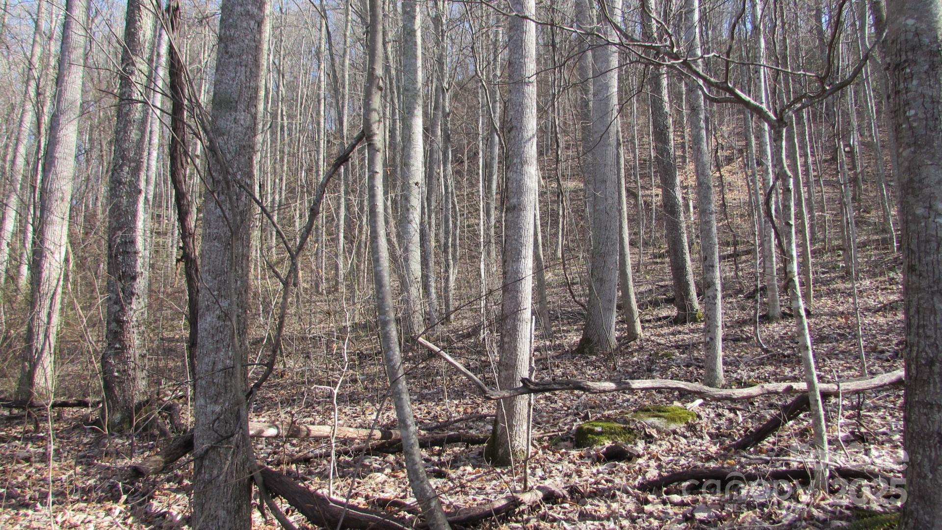 E- 7 Red Wolf Run Property Photo 19