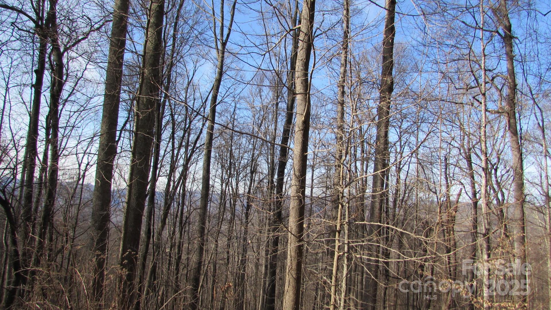E- 7 Red Wolf Run Property Photo 21