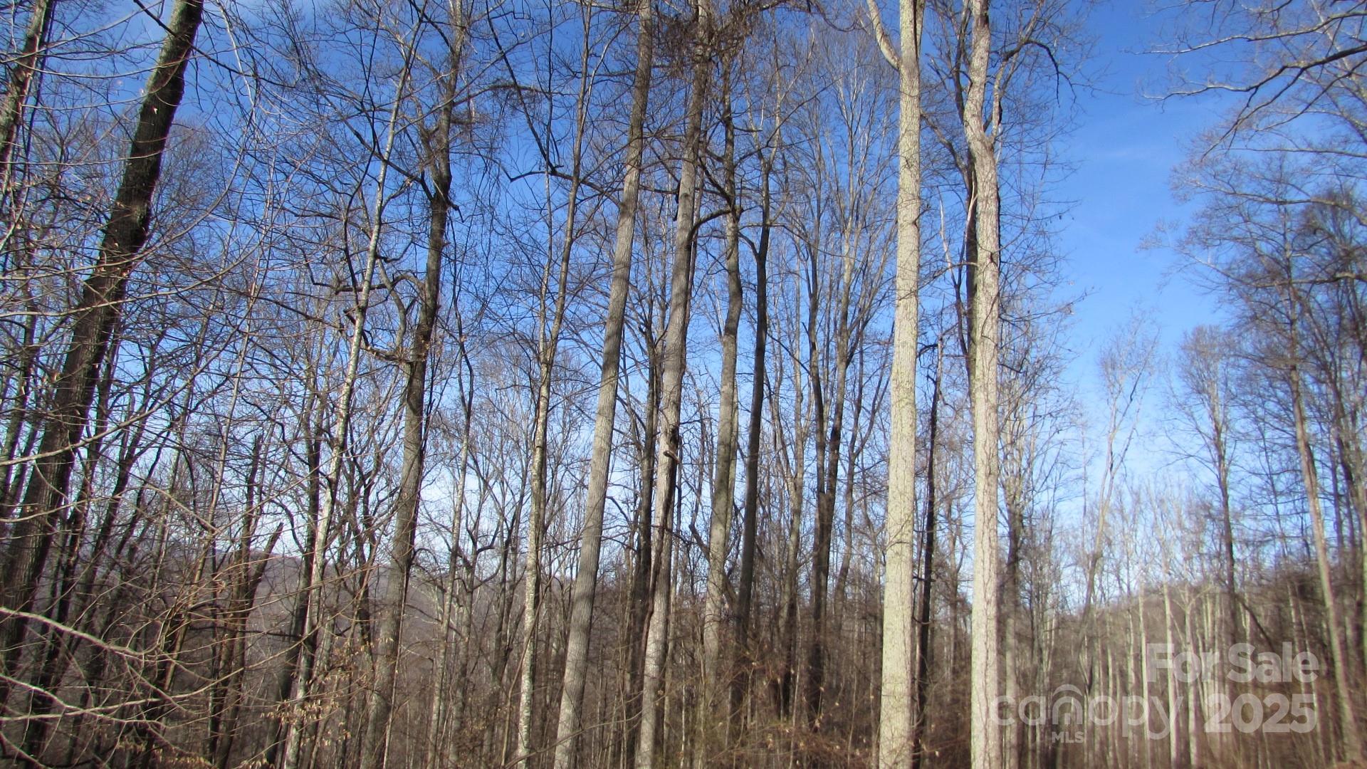 E- 7 Red Wolf Run Property Photo 22
