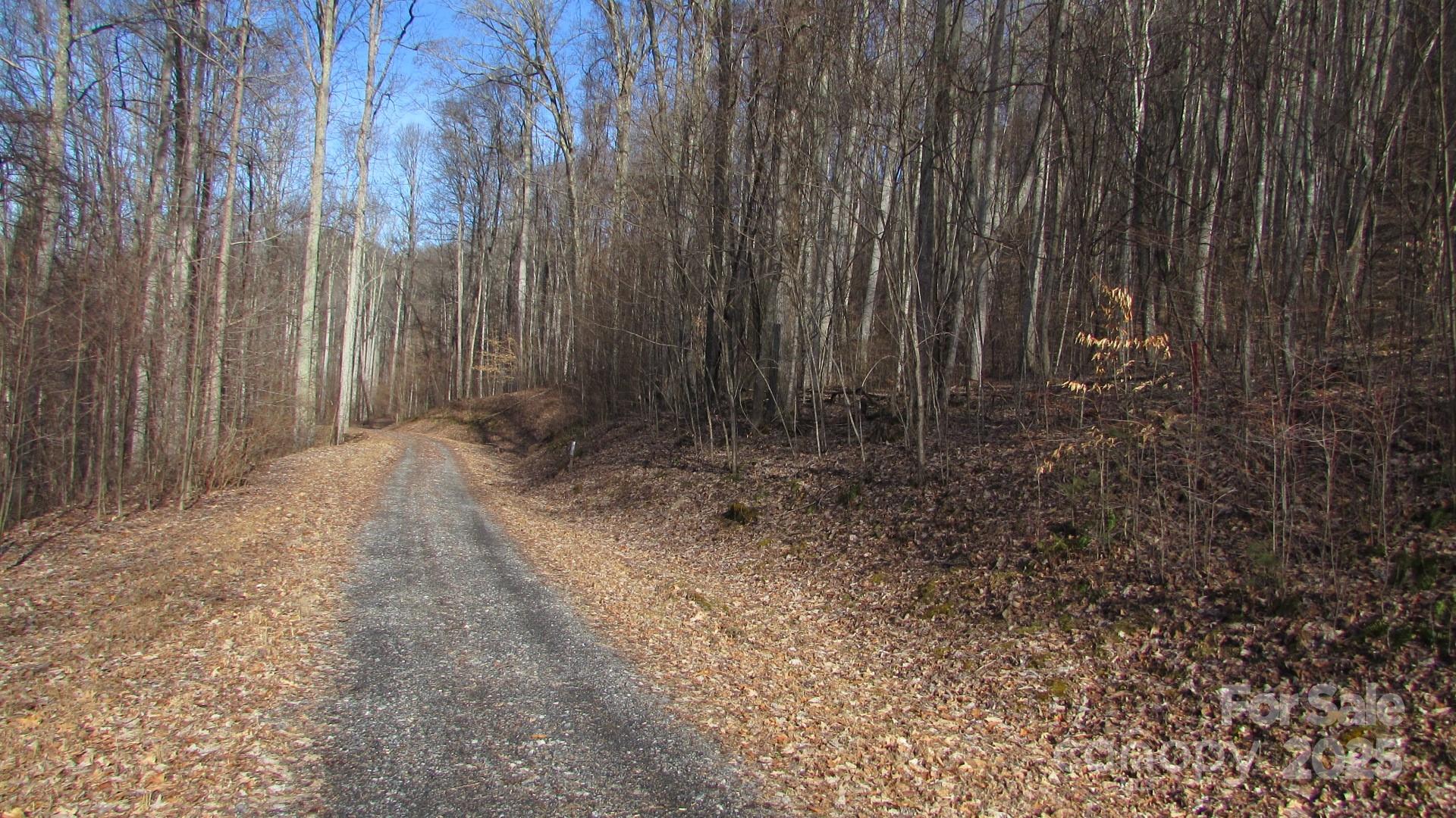 E- 7 Red Wolf Run Property Photo 25
