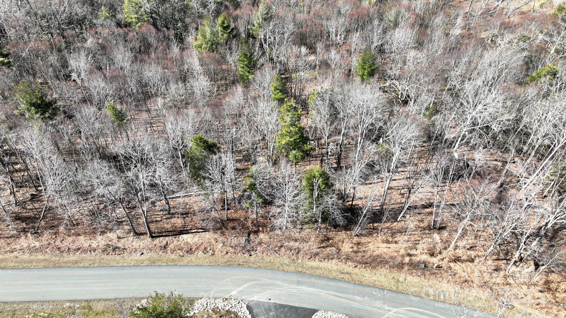 68 Eagle Pass None Property Photo 6