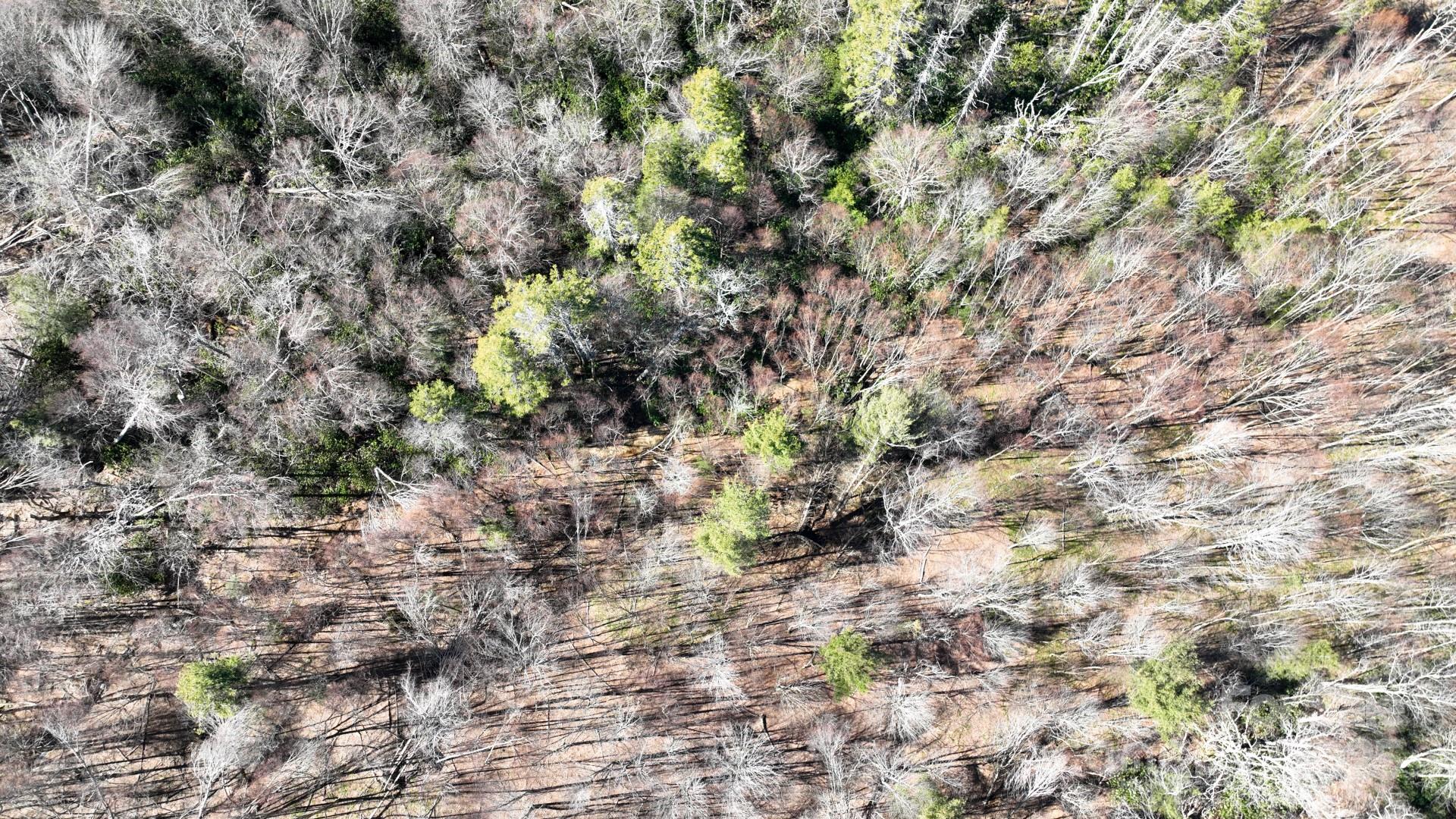 68 Eagle Pass None Property Photo 11