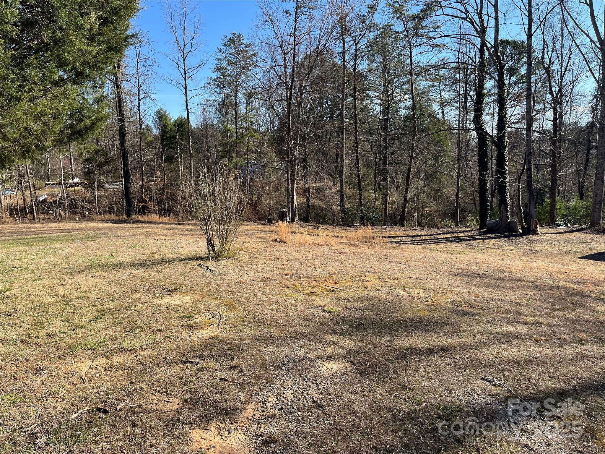 1717 Rattlesnake Lane Property Photo