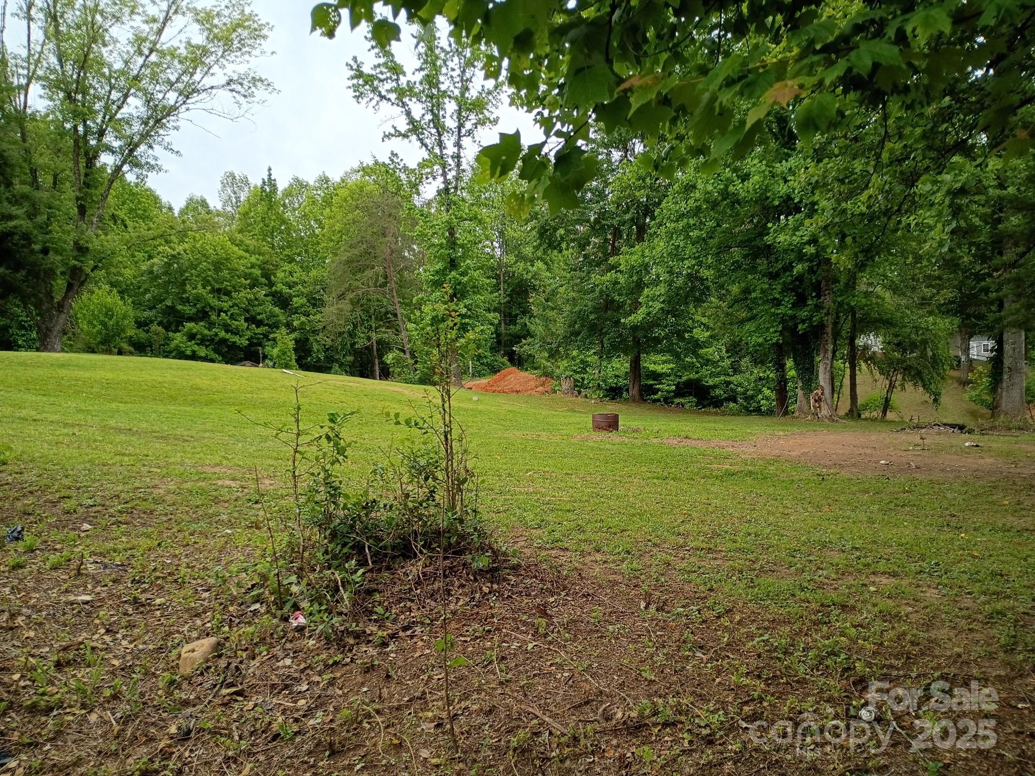 1717 Rattlesnake Lane Property Photo 3