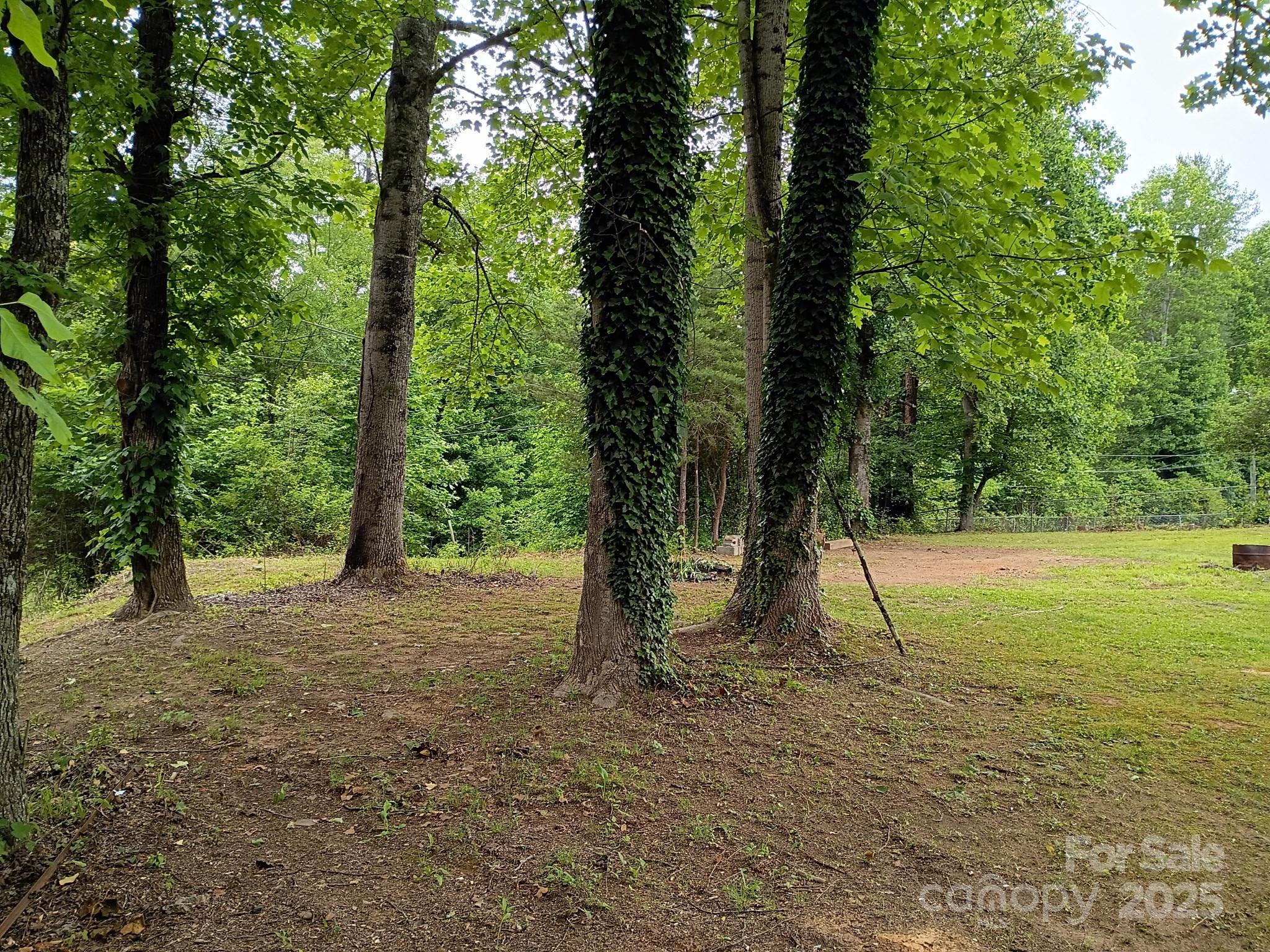 1717 Rattlesnake Lane Property Photo 5