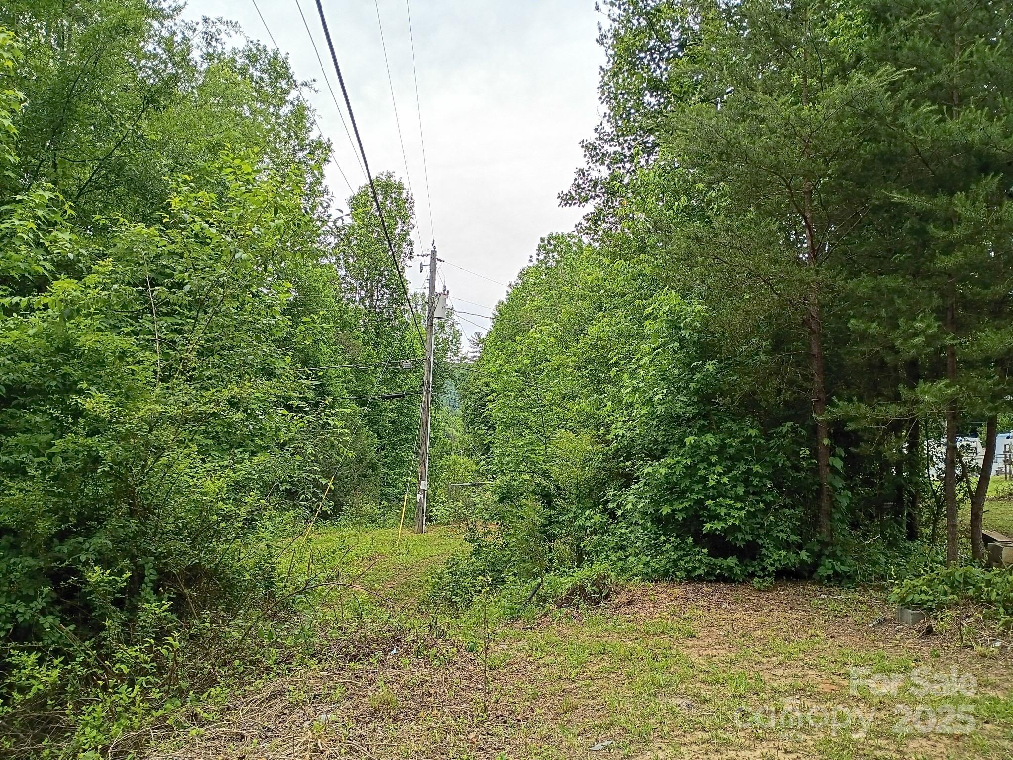 1717 Rattlesnake Lane Property Photo 8