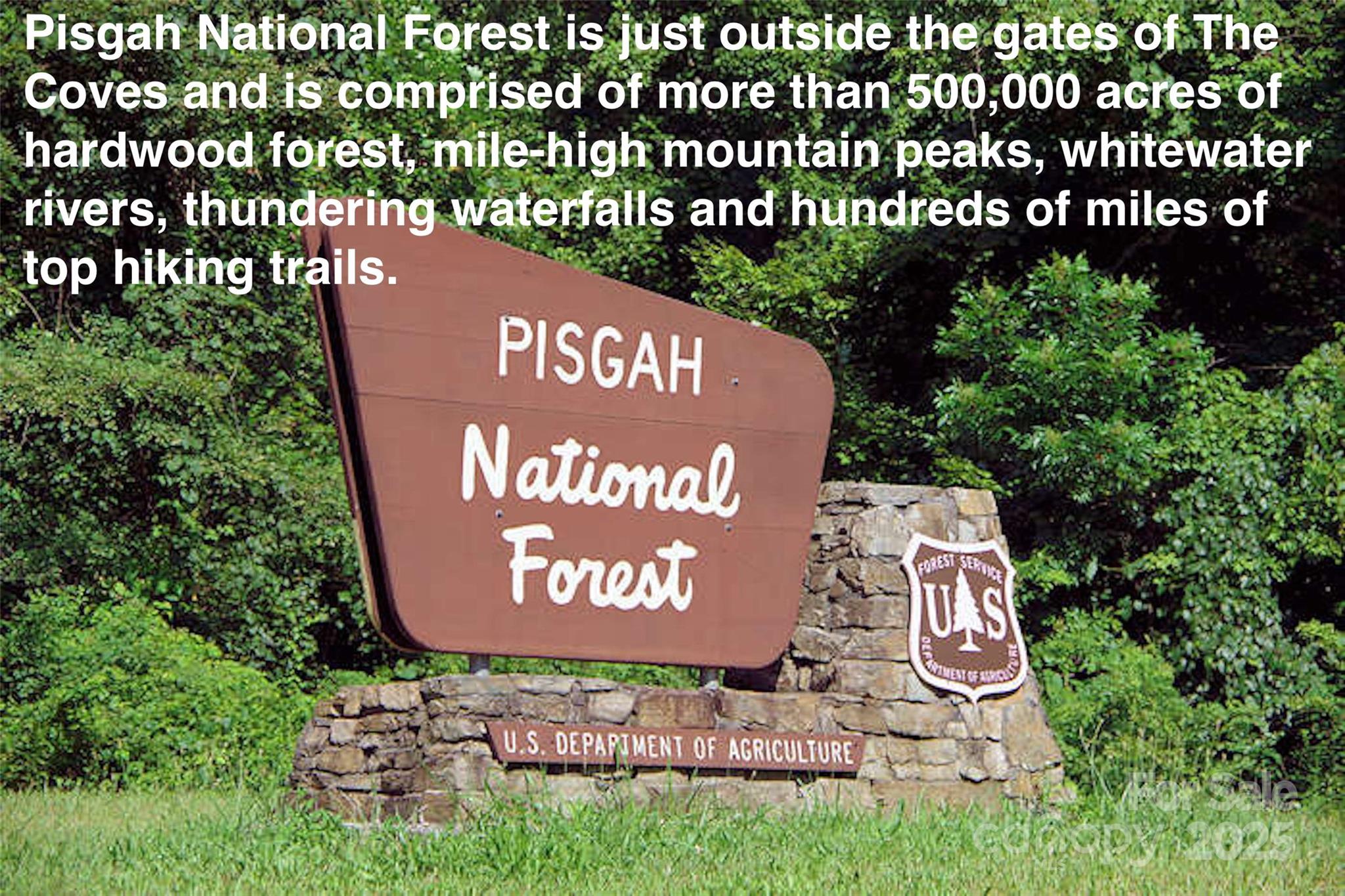 6033 Low Country Road Property Photo 48