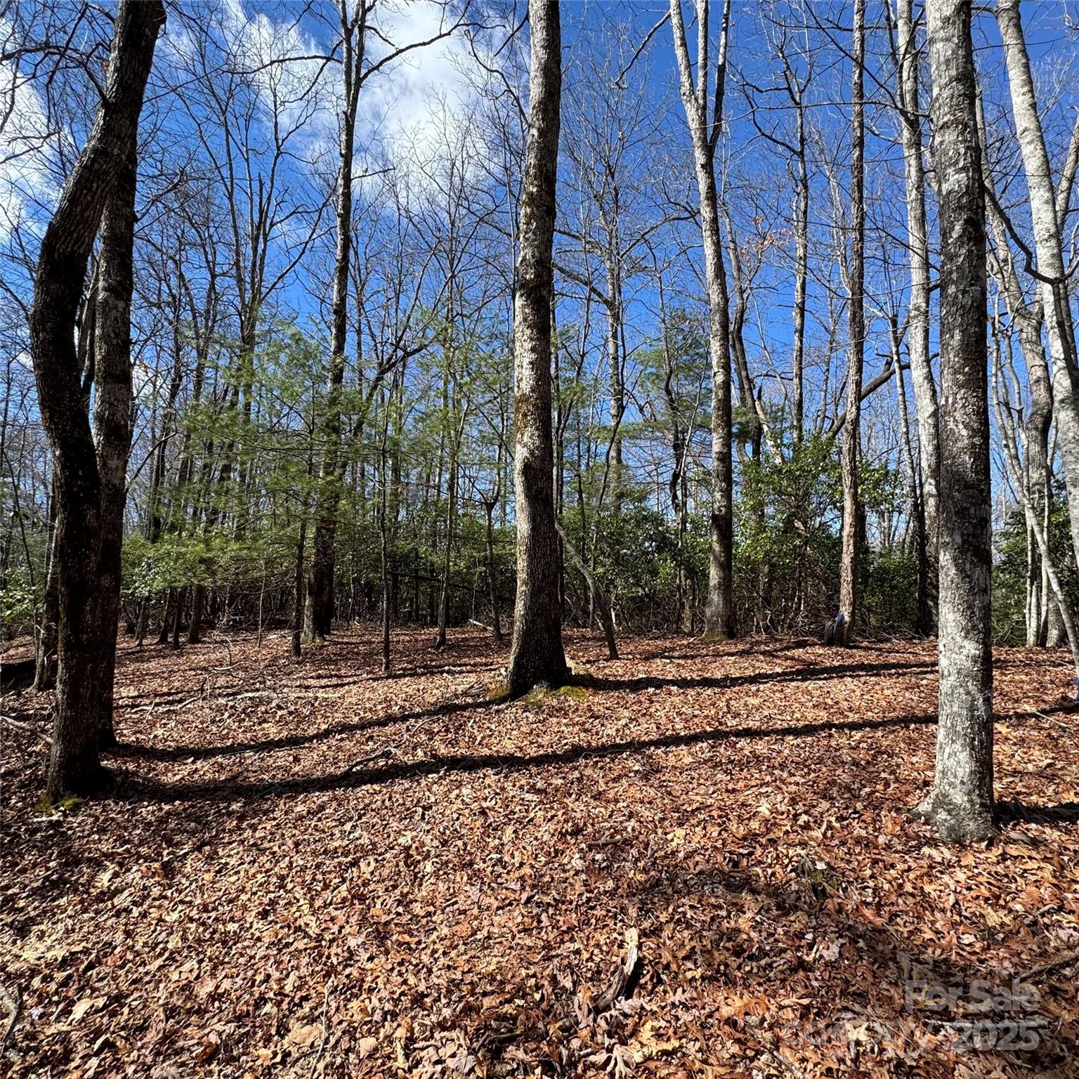 Tract 32-b Kentwood Lane Property Photo