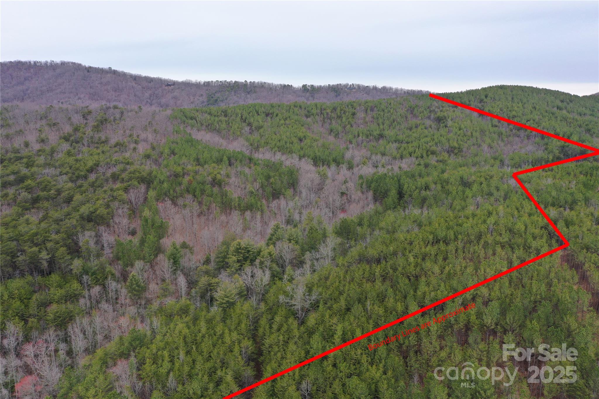 0 Wards Gap Road Property Photo