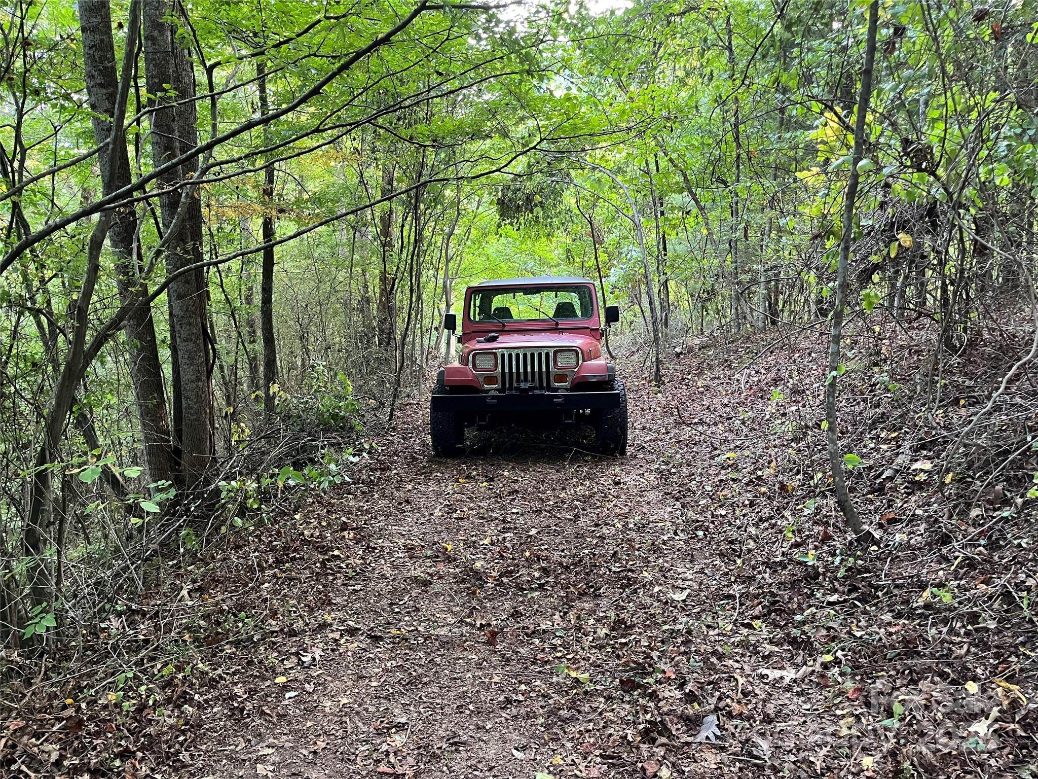 1961 Cane Creek Road Property Photo 16