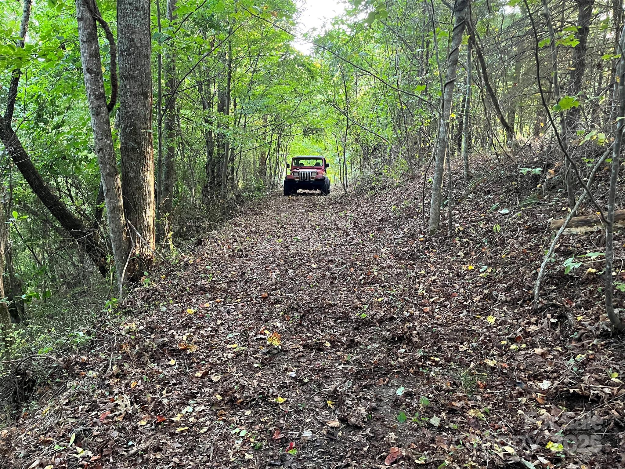 1961 Cane Creek Road Property Photo 17