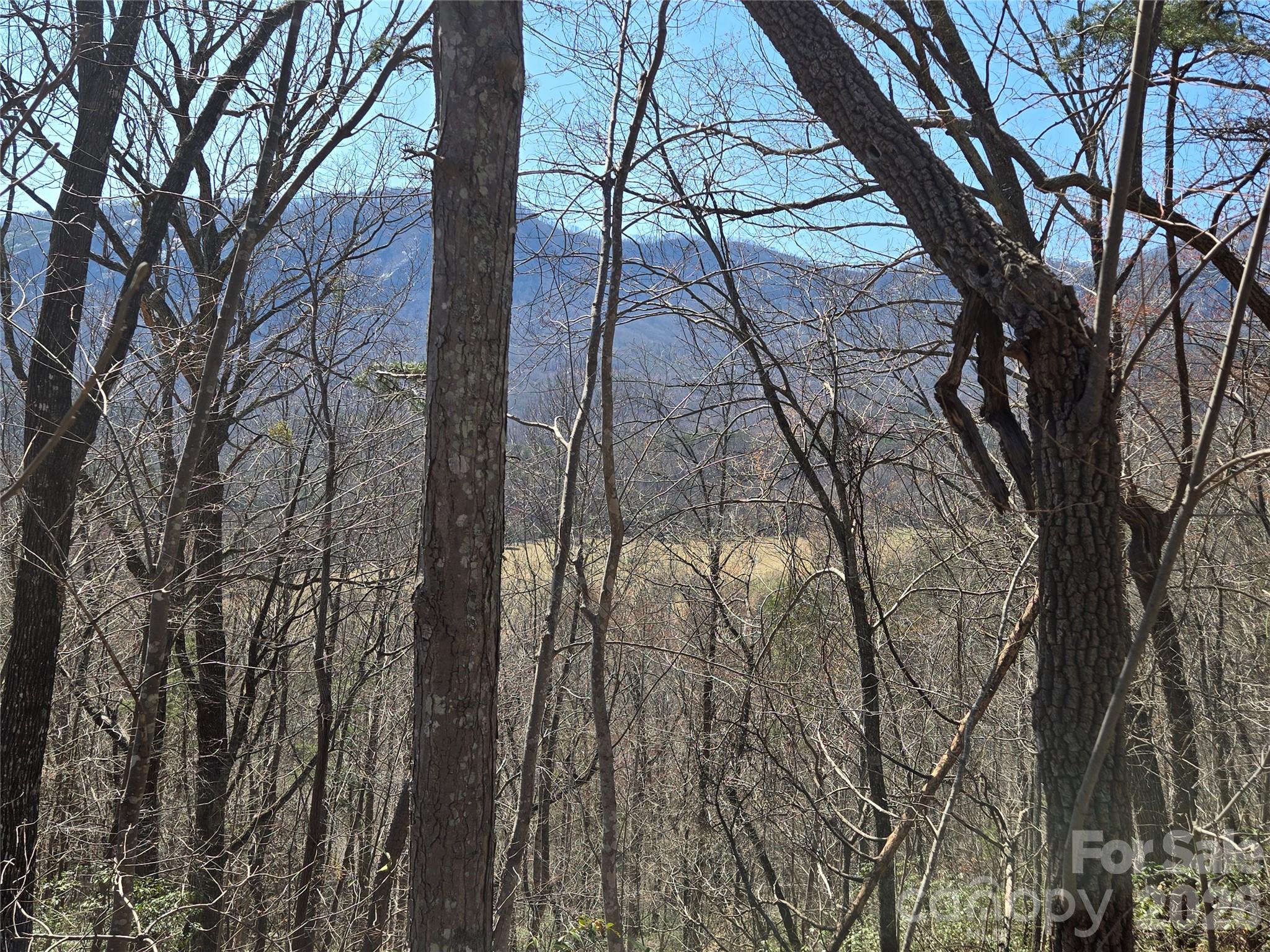 Lot 57 Banjo Court Property Photo 1