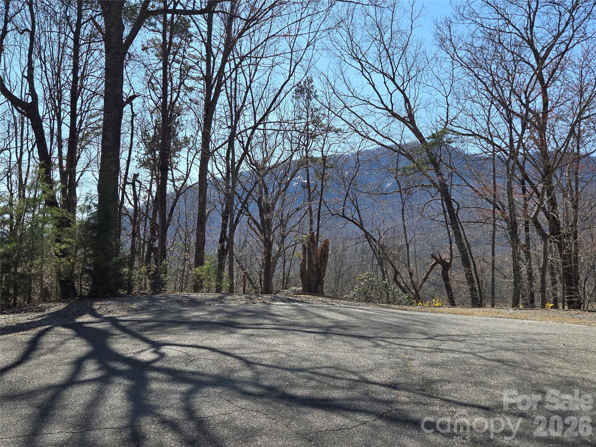Lot 57 Banjo Court Property Photo 4