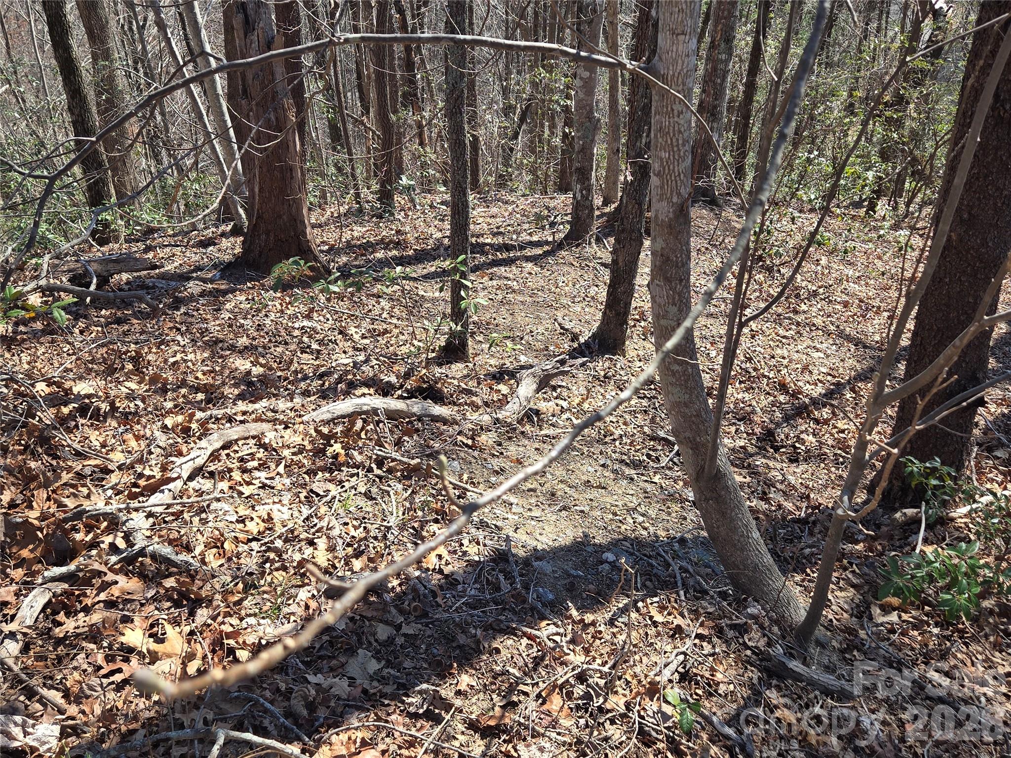 Lot 57 Banjo Court Property Photo 7