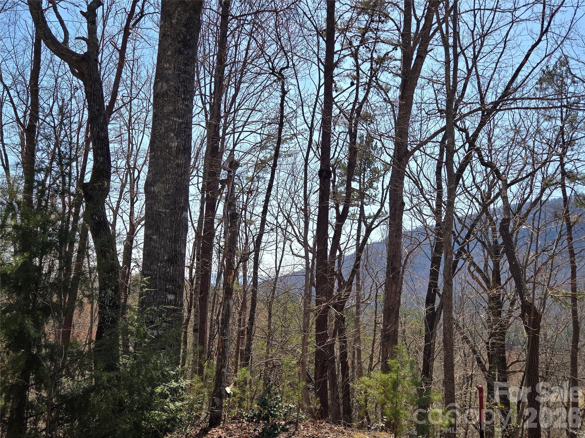 Lot 57 Banjo Court Property Photo 8