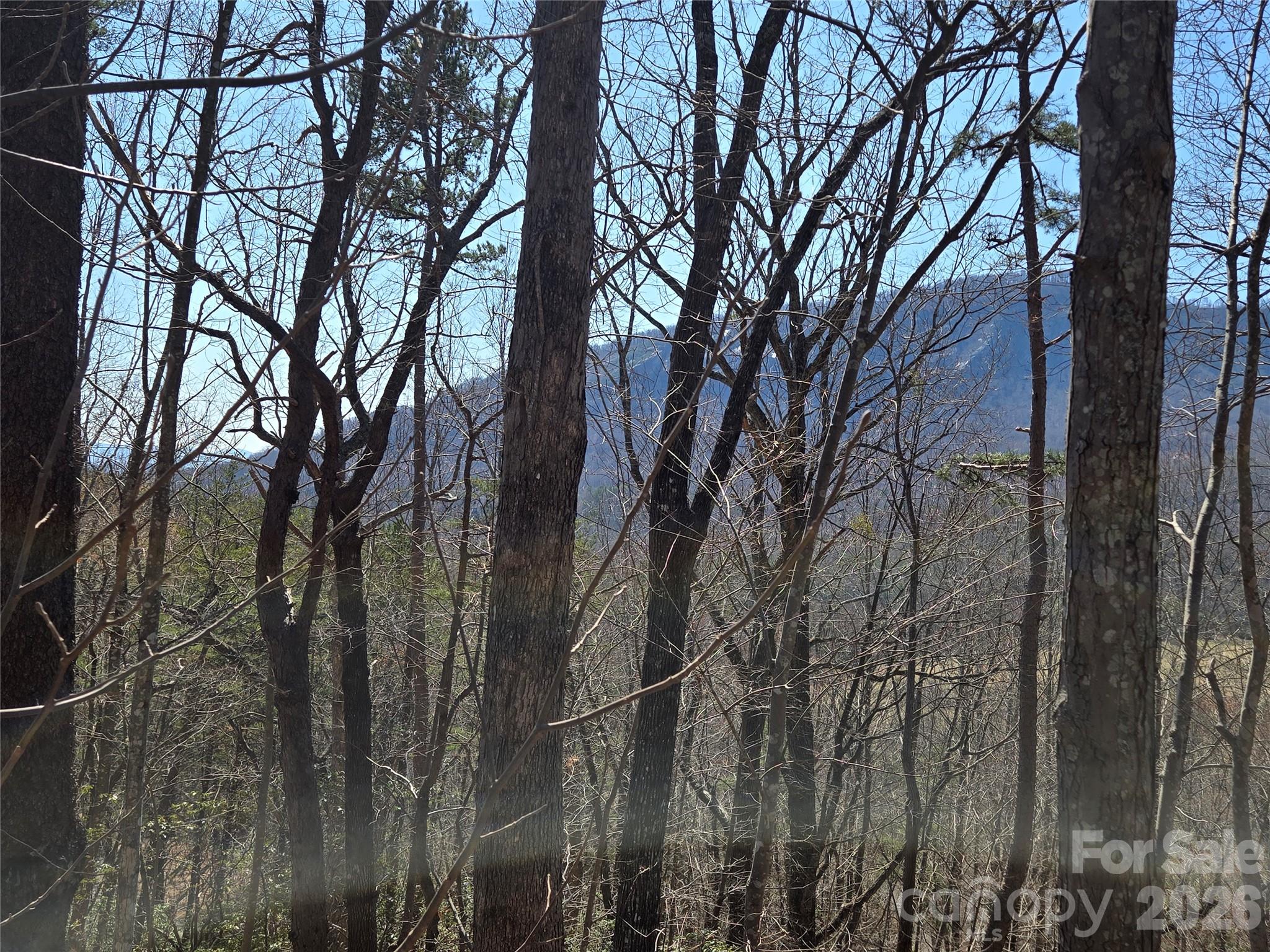 Lot 57 Banjo Court Property Photo 9